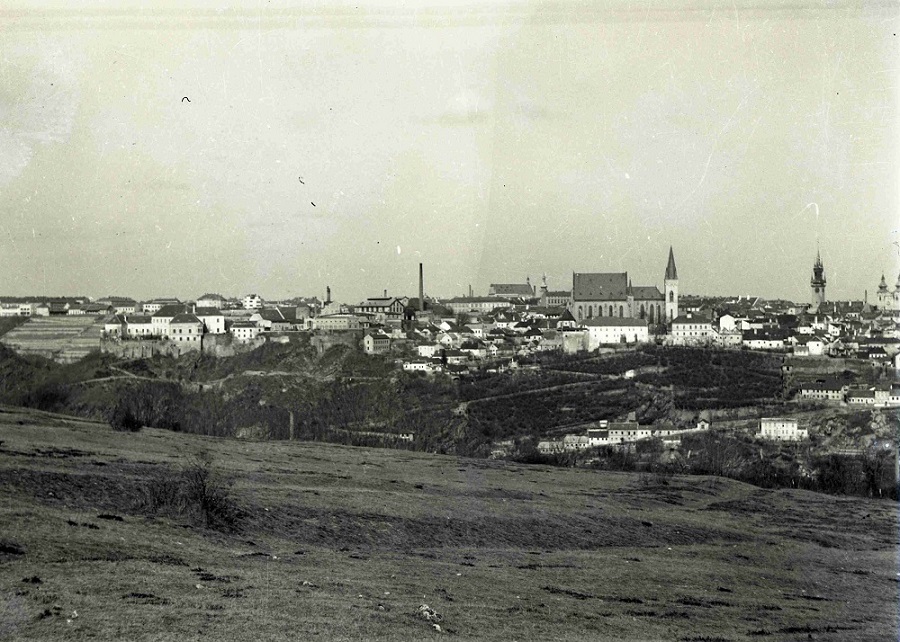 Náhledový obrázek Panorama Znojma - 1