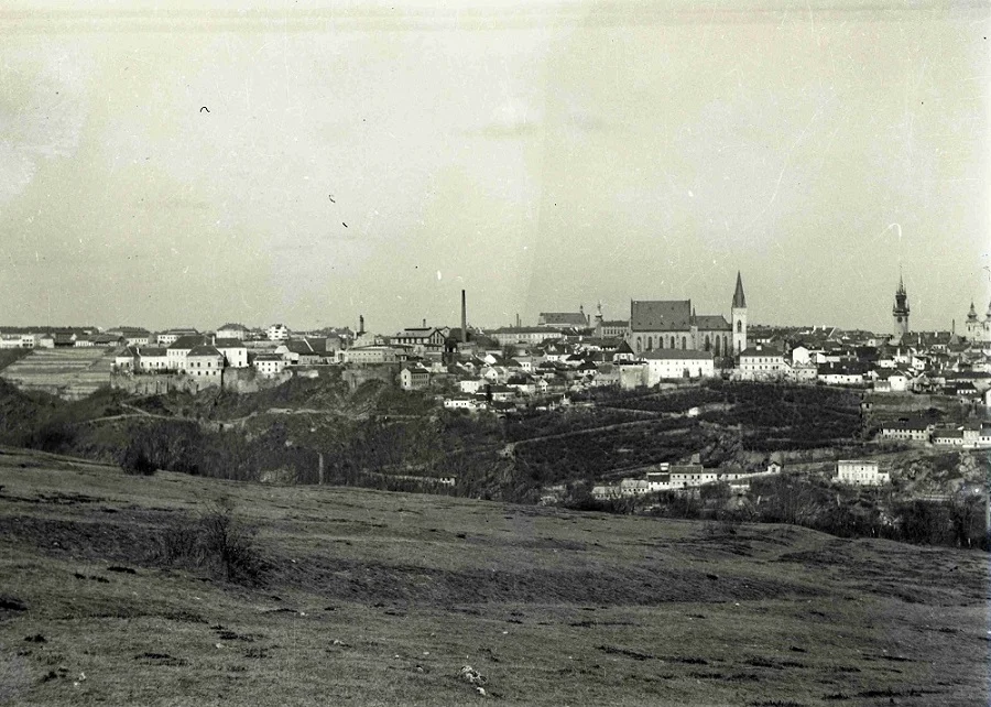 Náhledový obrázek předmětu Panorama Znojma
