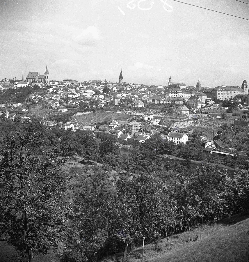 Náhledový obrázek Panorama Znojma - 1