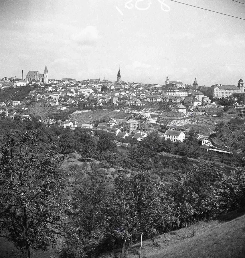 Náhledový obrázek předmětu Panorama Znojma