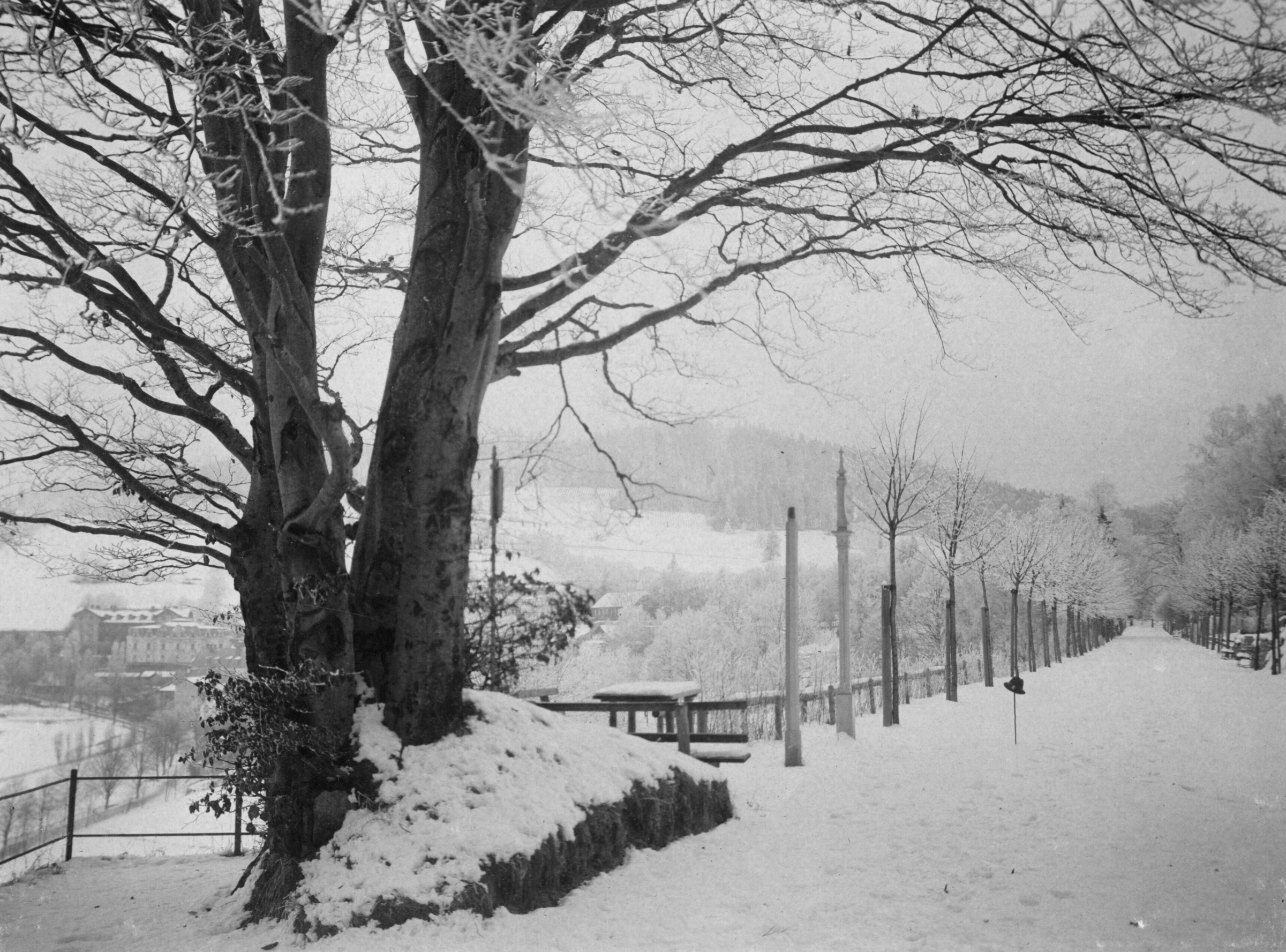 Náhledový obrázek Ripperova promenáda v Lázních Jeseník (čb. fotografie) - 1