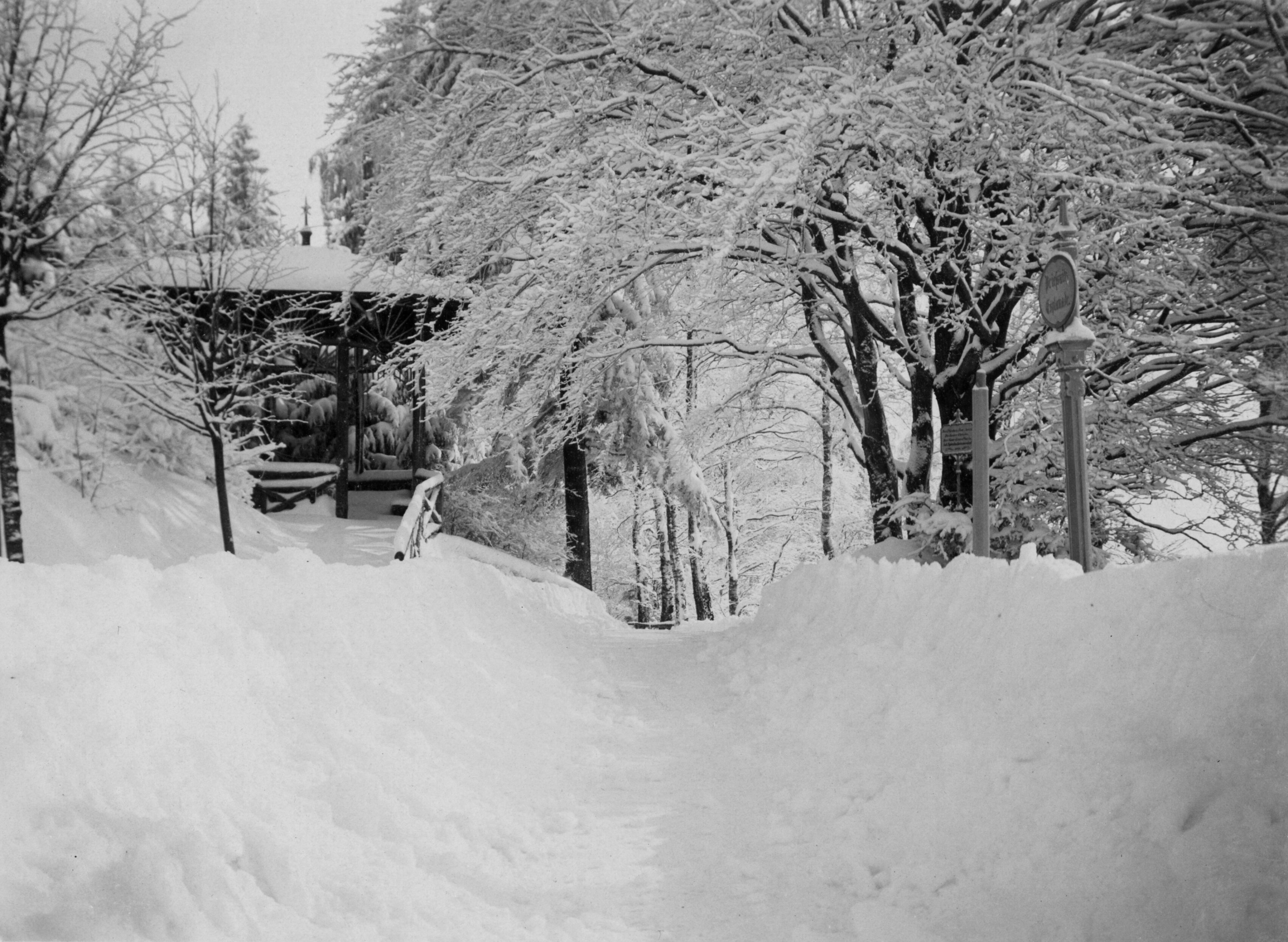 Náhledový obrázek Ripperova promenáda v Lázních Jeseník (čb. fotografie) - 1