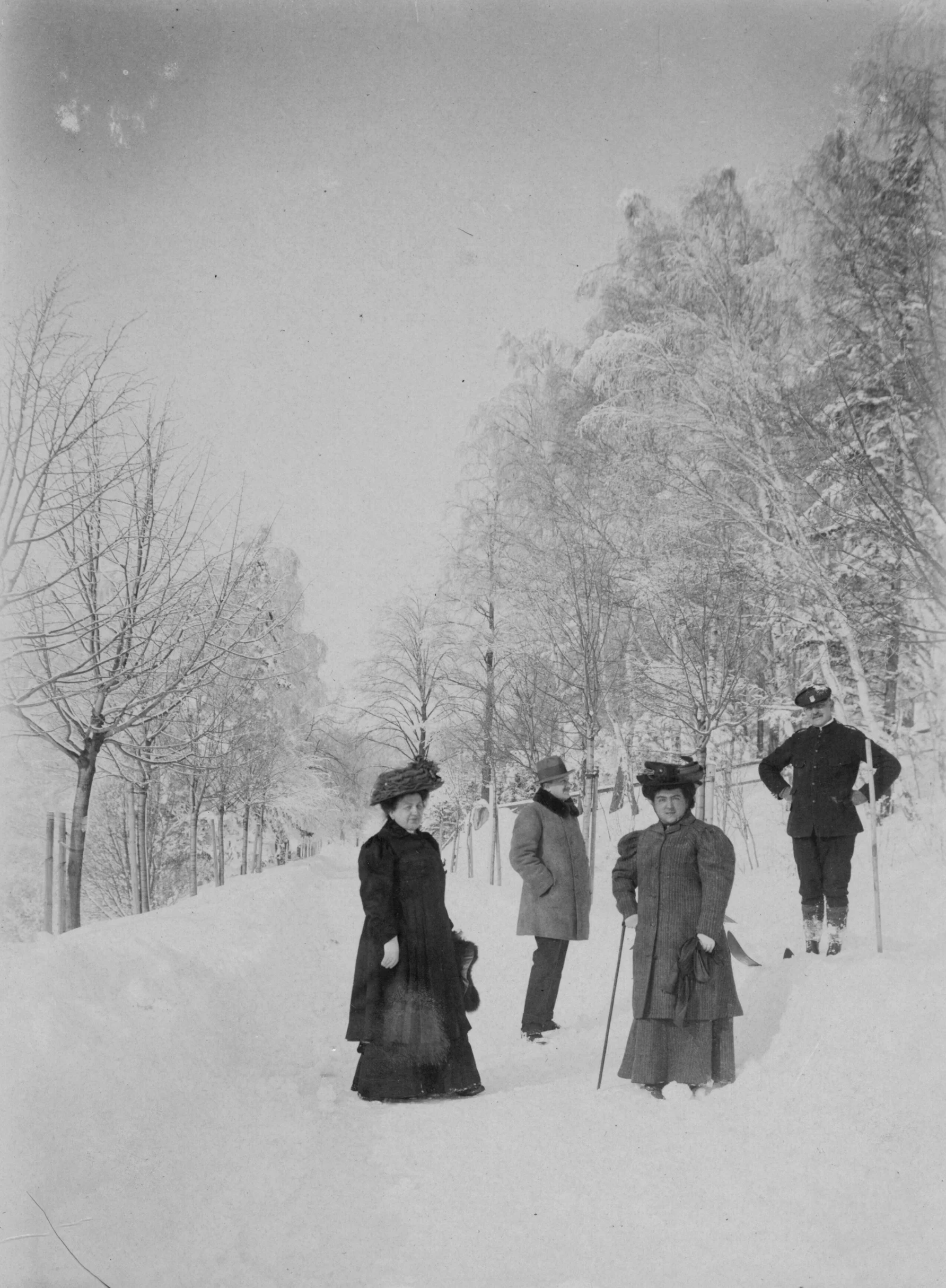 Náhledový obrázek předmětu Ripperova promenáda v Lázních Jeseník (čb. fotografie)