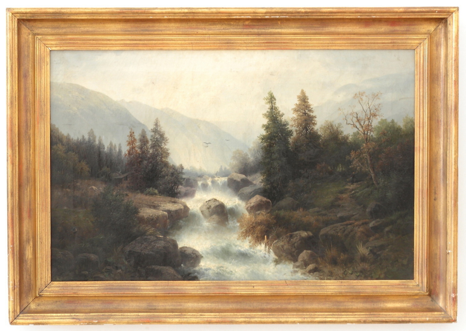 Náhledový obrázek Lesní bystřina - 1