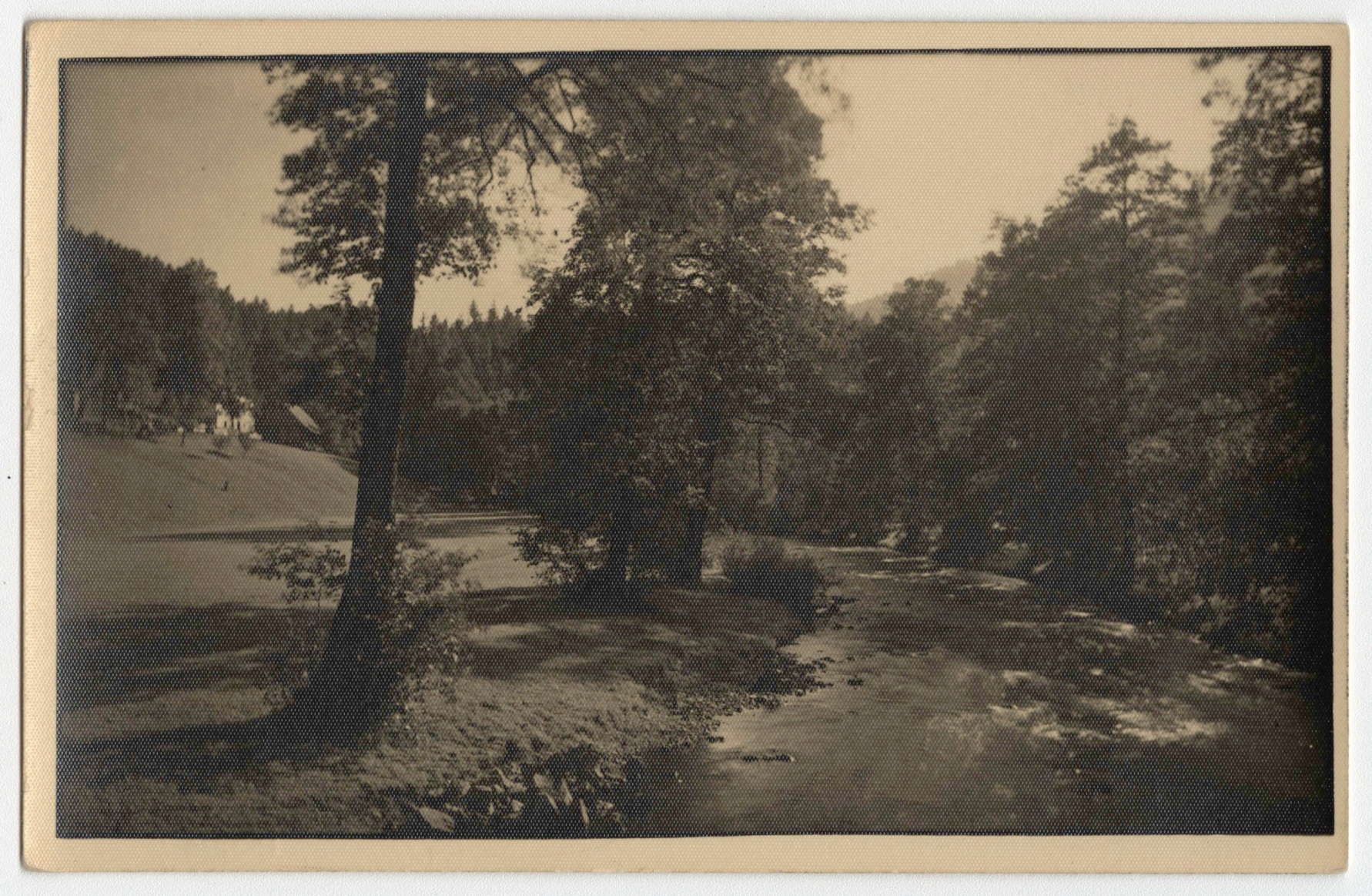Náhledový obrázek Údolí Moravy (čb. pohlednice) - 1