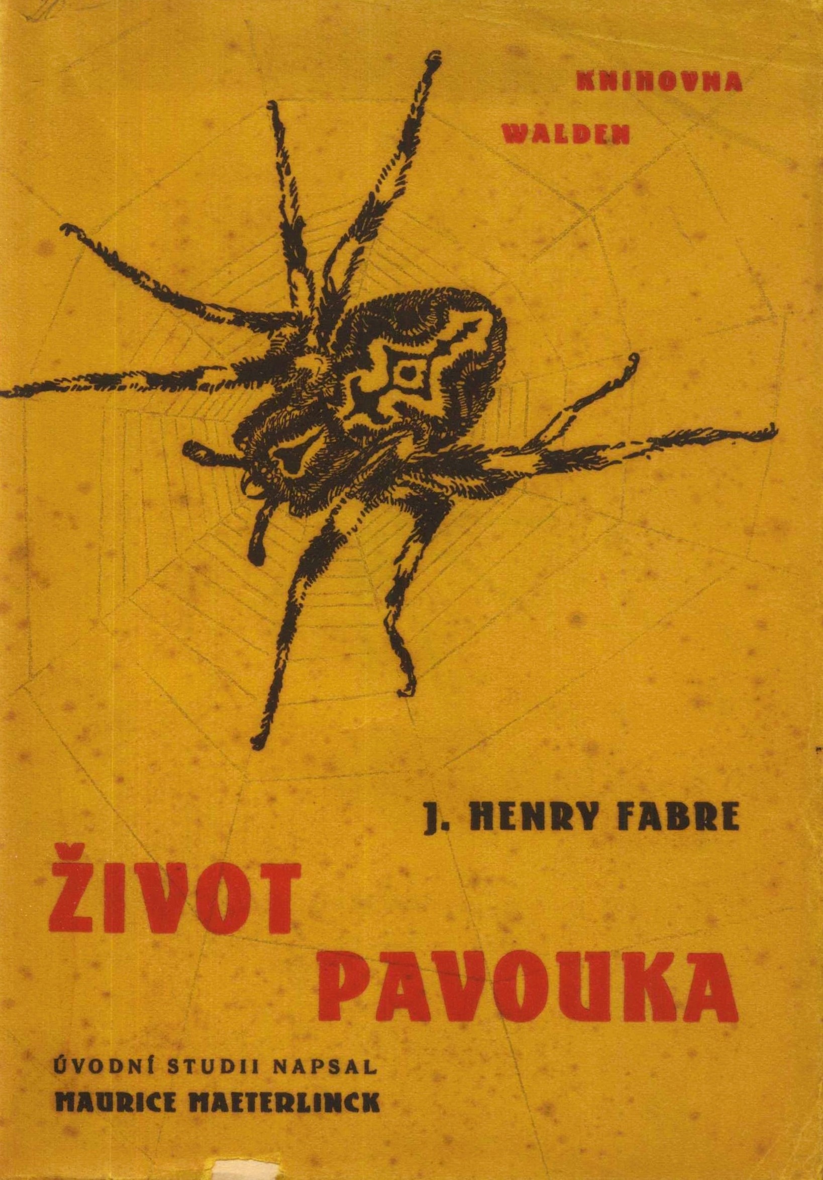 Náhledový obrázek Život pavouka - 1