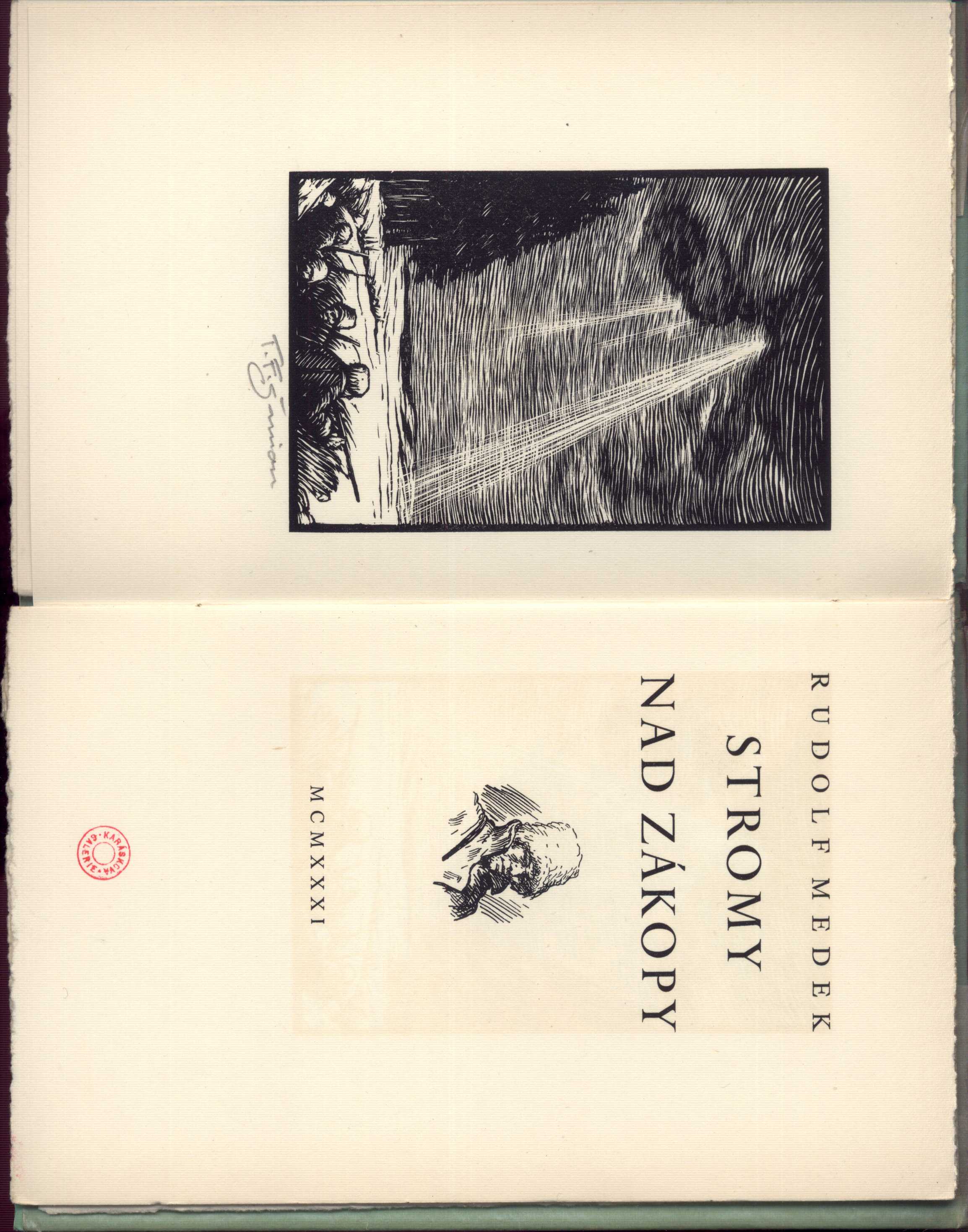 Náhledový obrázek Stromy nad zákopy - 1