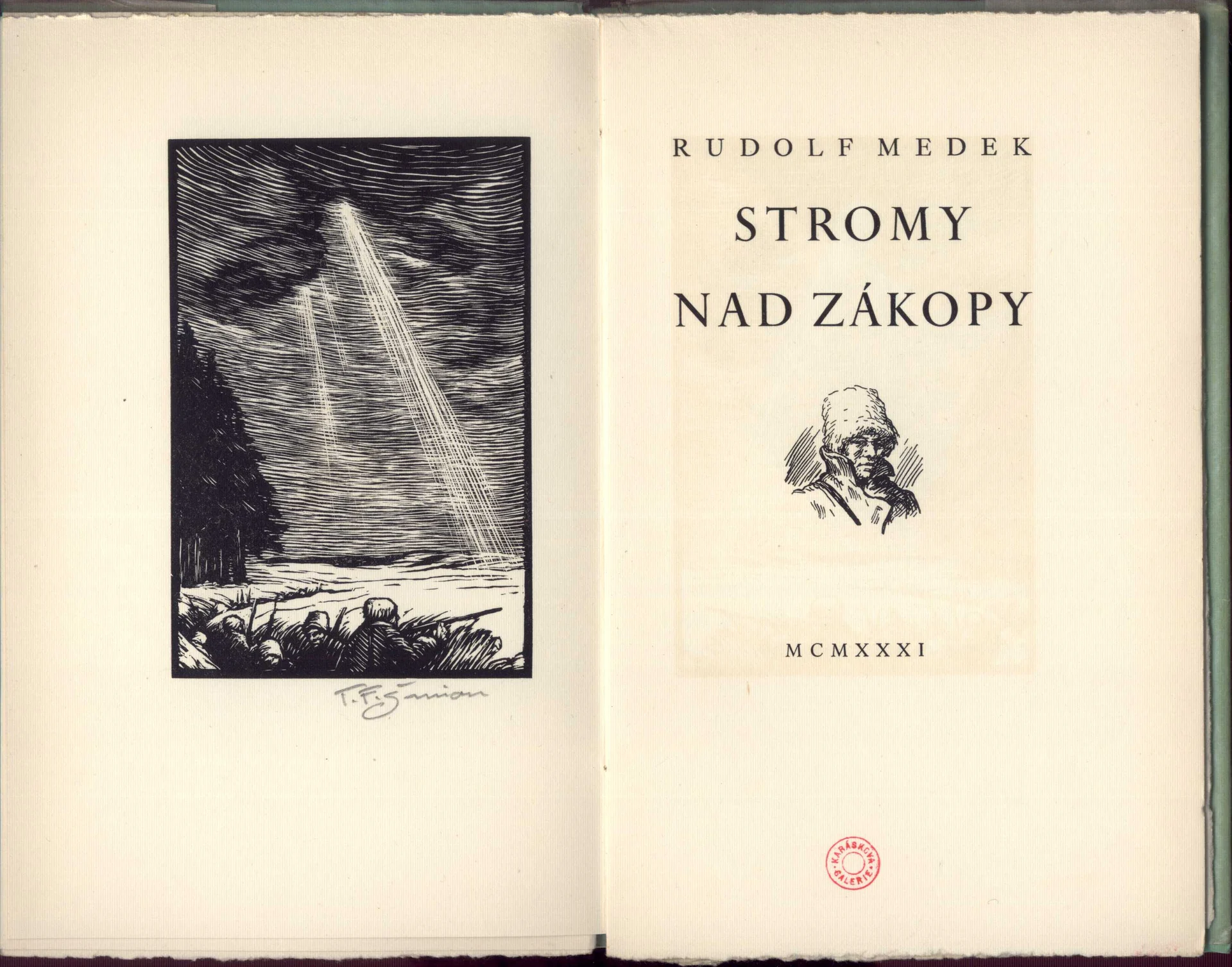 Náhledový obrázek předmětu Stromy nad zákopy
