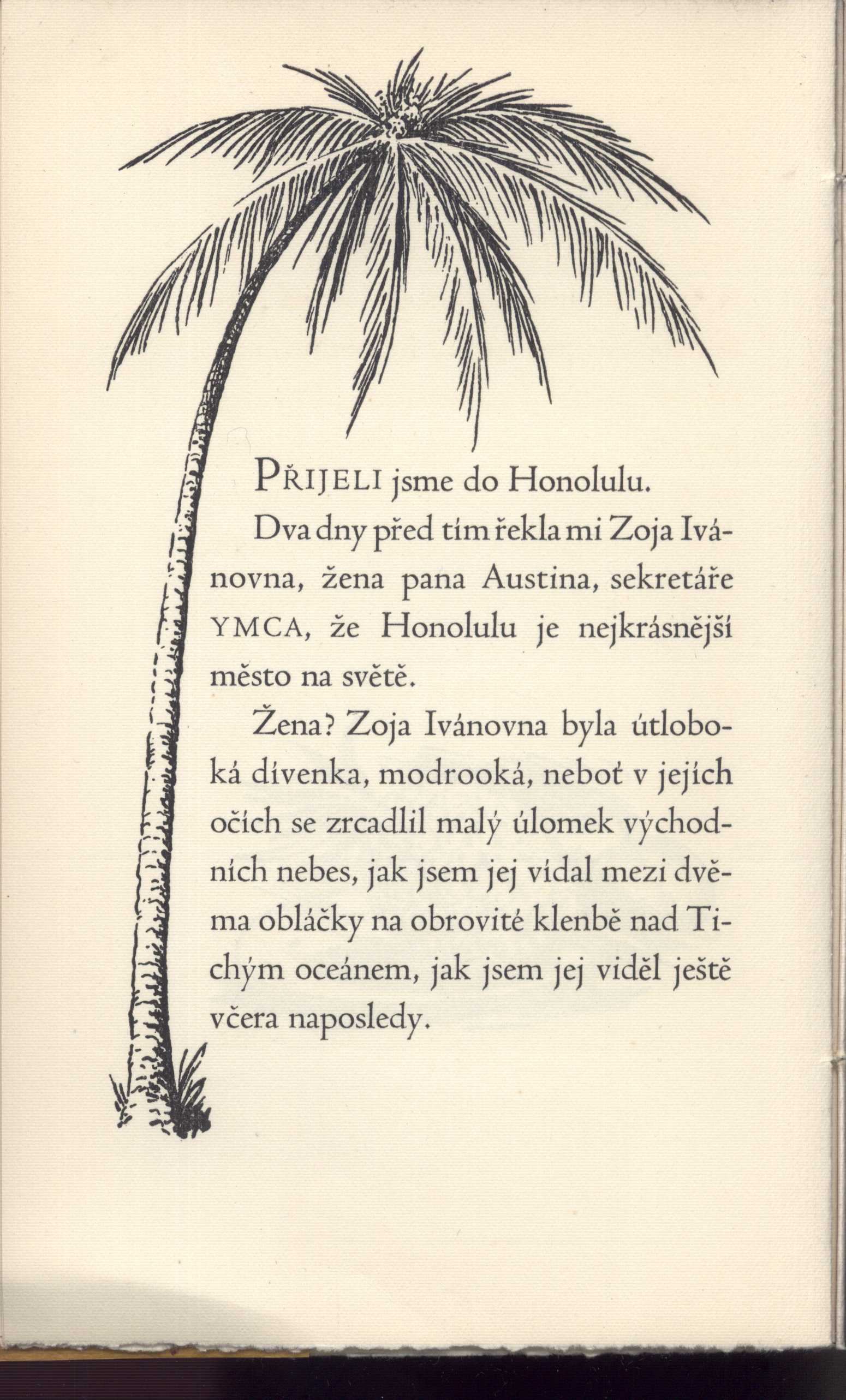 Náhledový obrázek Honolulu - 6