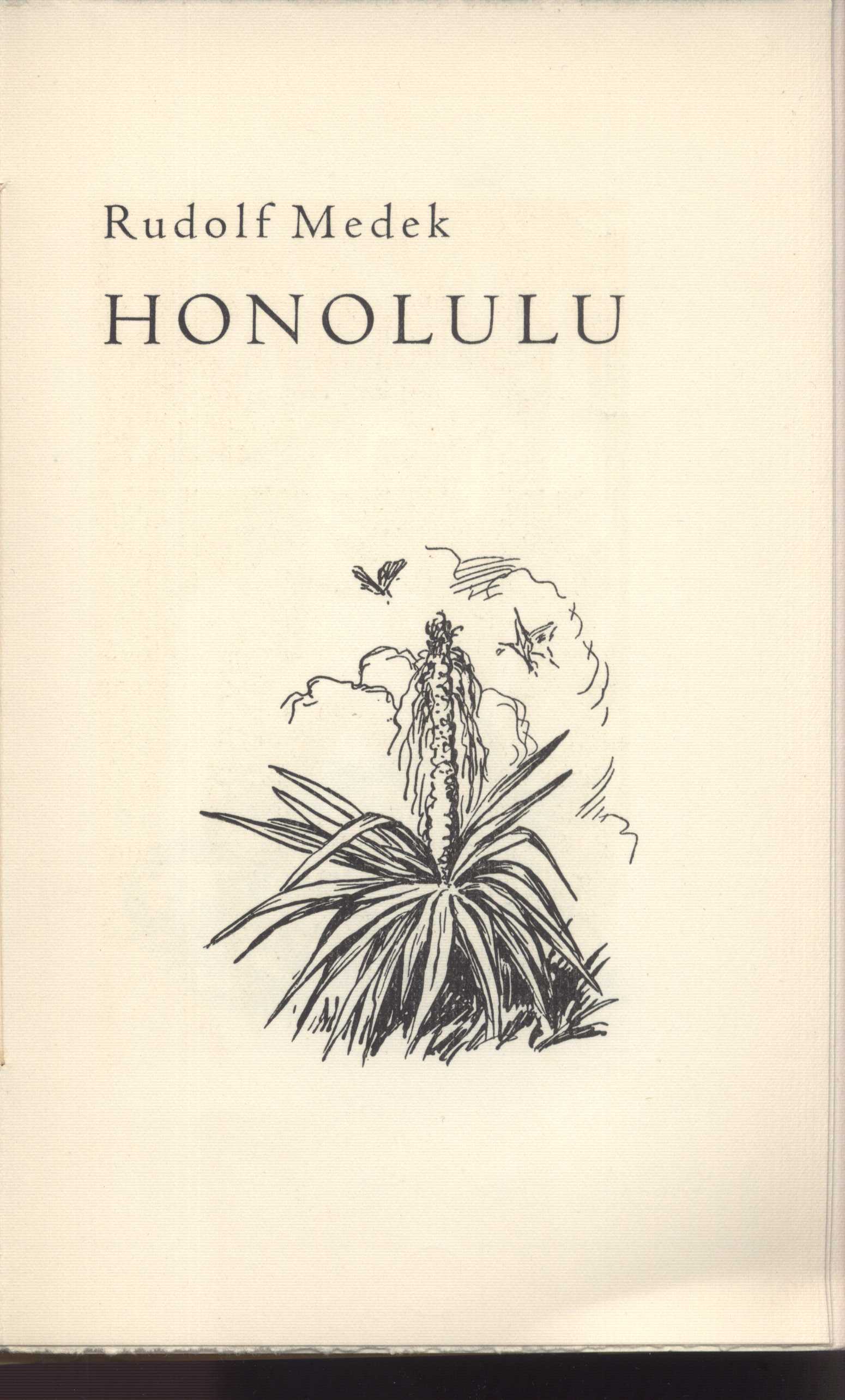 Náhledový obrázek Honolulu - 3