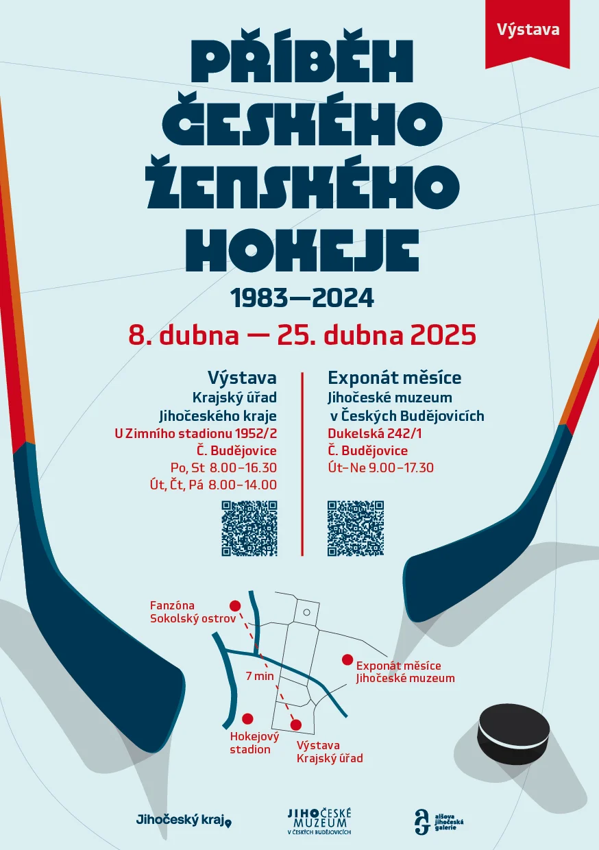 Náhledový obrázek předmětu Příběh českého ženského hokeje