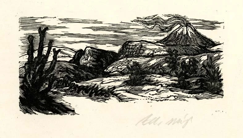 Obrázek Ilustrace - Dobyvatel
