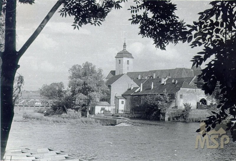 Náhledový obrázek předmětu Fotografie
