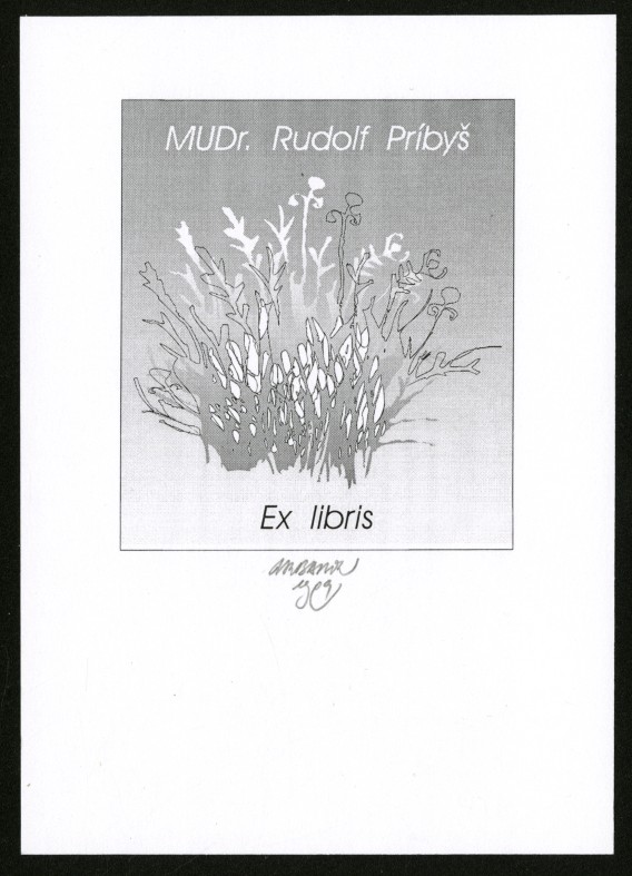 Náhledový obrázek Exlibris - 1