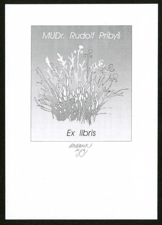 Náhledový obrázek předmětu Exlibris