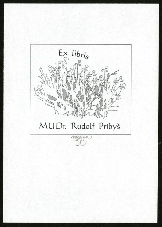 Náhledový obrázek Exlibris - 1