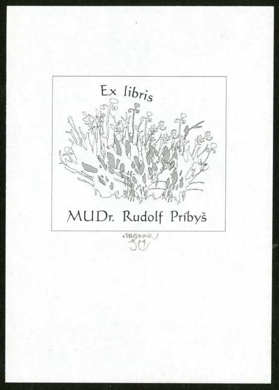 Náhledový obrázek předmětu Exlibris