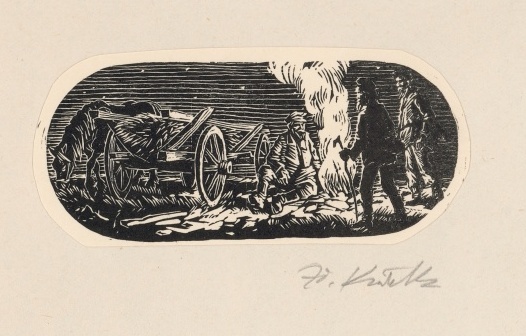 Náhledový obrázek Ilustrace - Země Muravie - 1