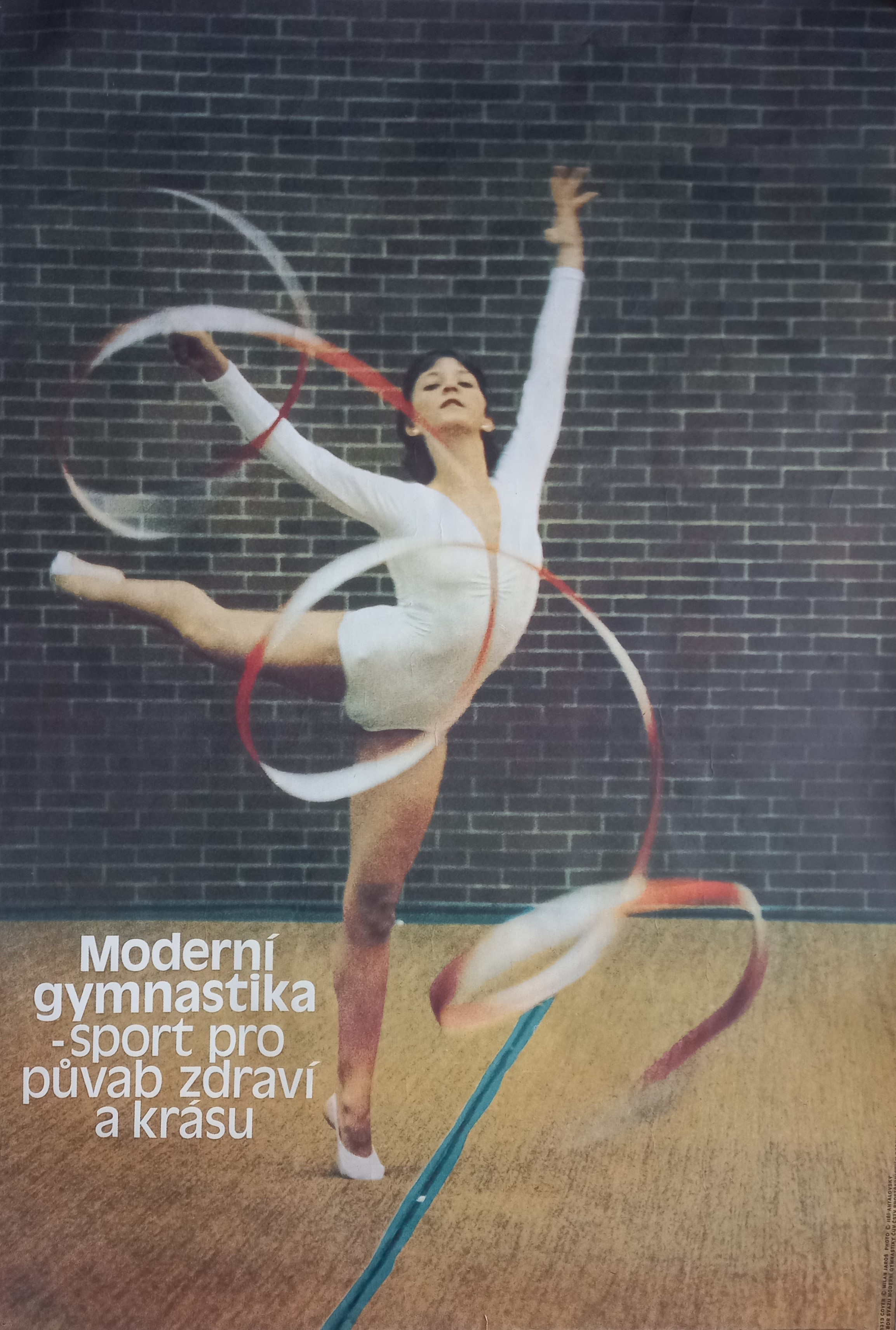 Náhledový obrázek Moderní gymnastika - sport pro půvab, zdraví a krásu - 1
