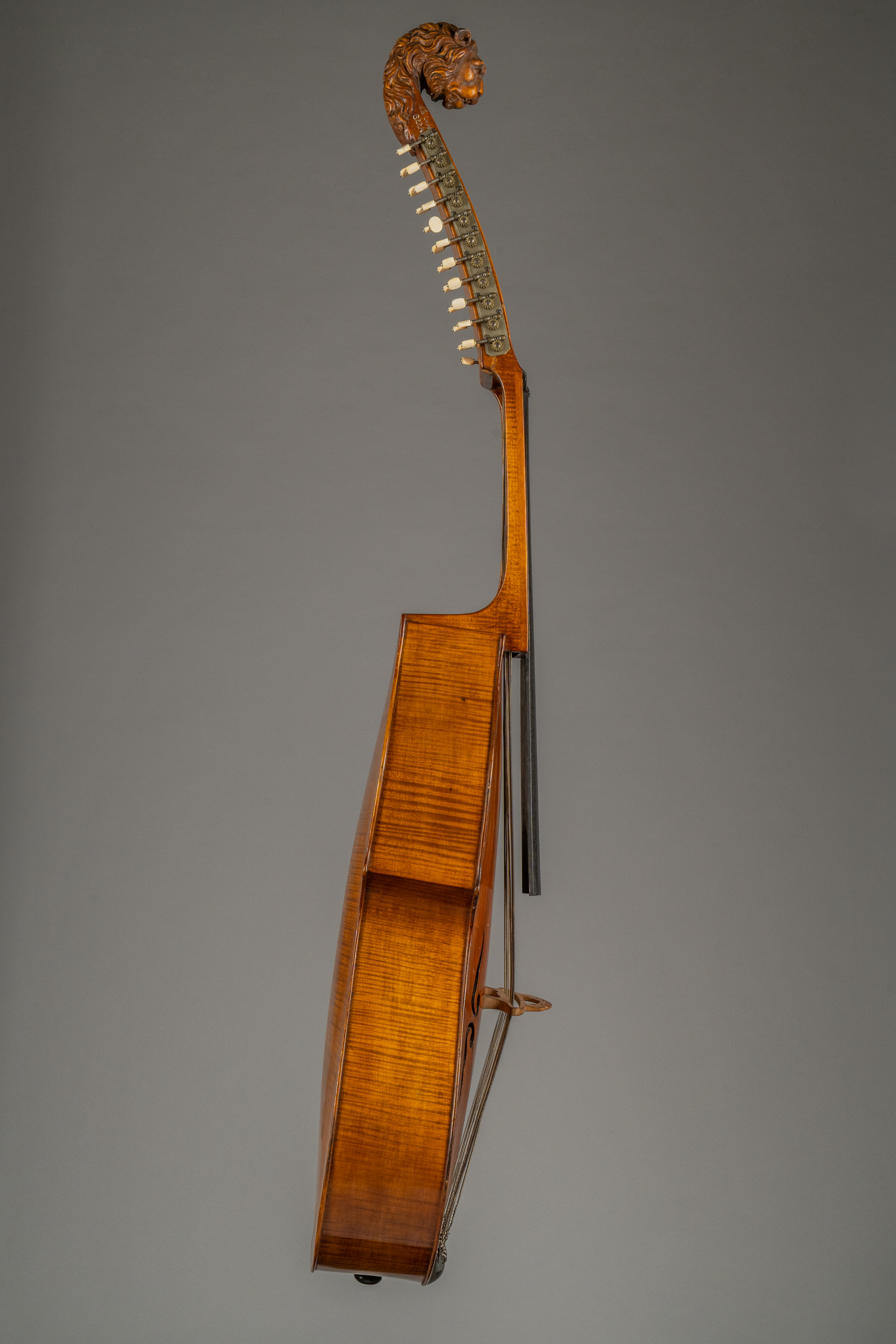 Náhledový obrázek Viola di bardone - 9