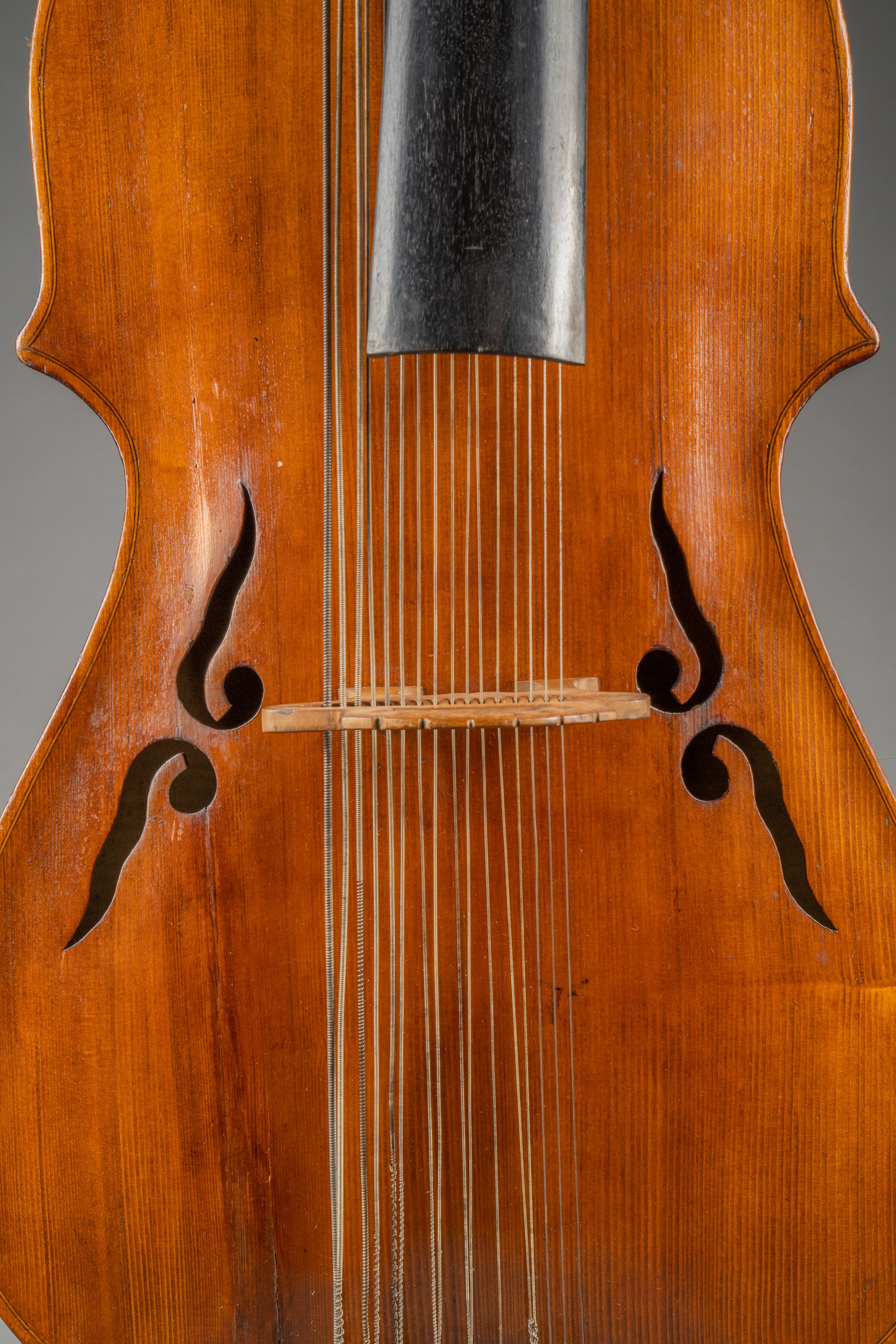 Náhledový obrázek Viola di bardone - 14