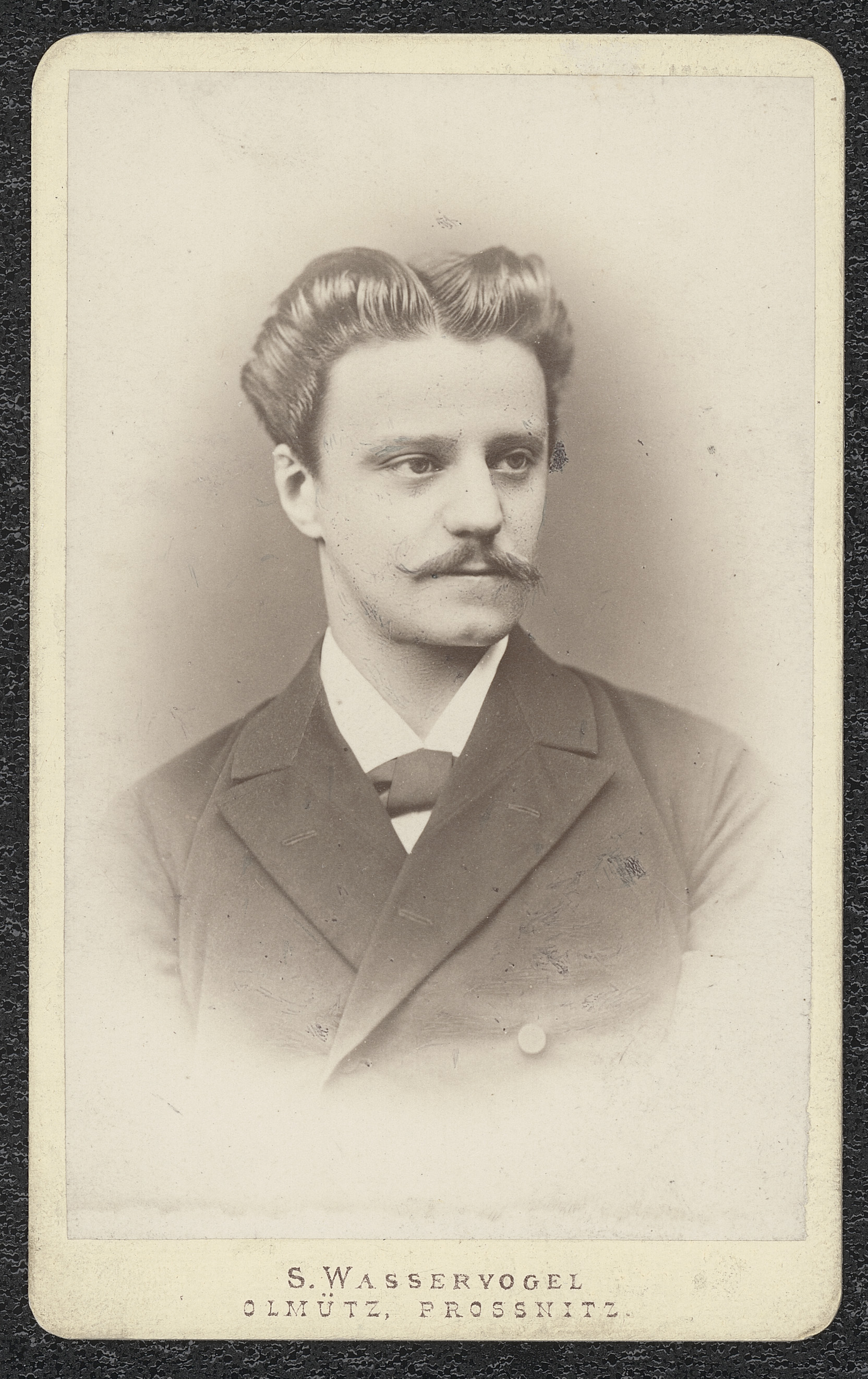 Náhledový obrázek Hugo Zajíček - 1