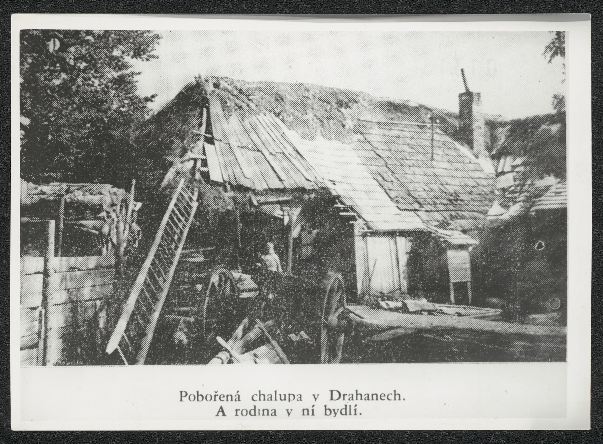 Náhledový obrázek předmětu Drahany
