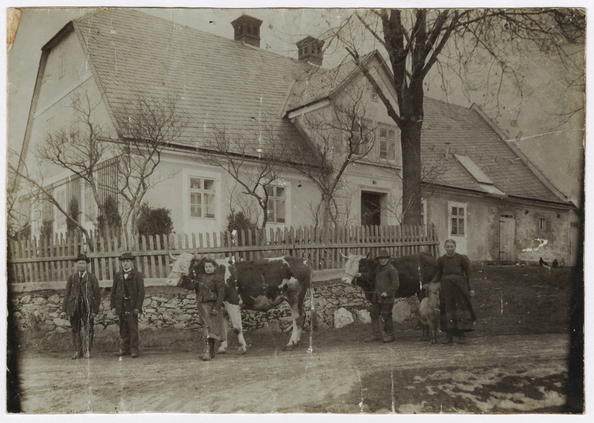 Náhledový obrázek Statek v Adolfovicích (čb. fotografie) - 1