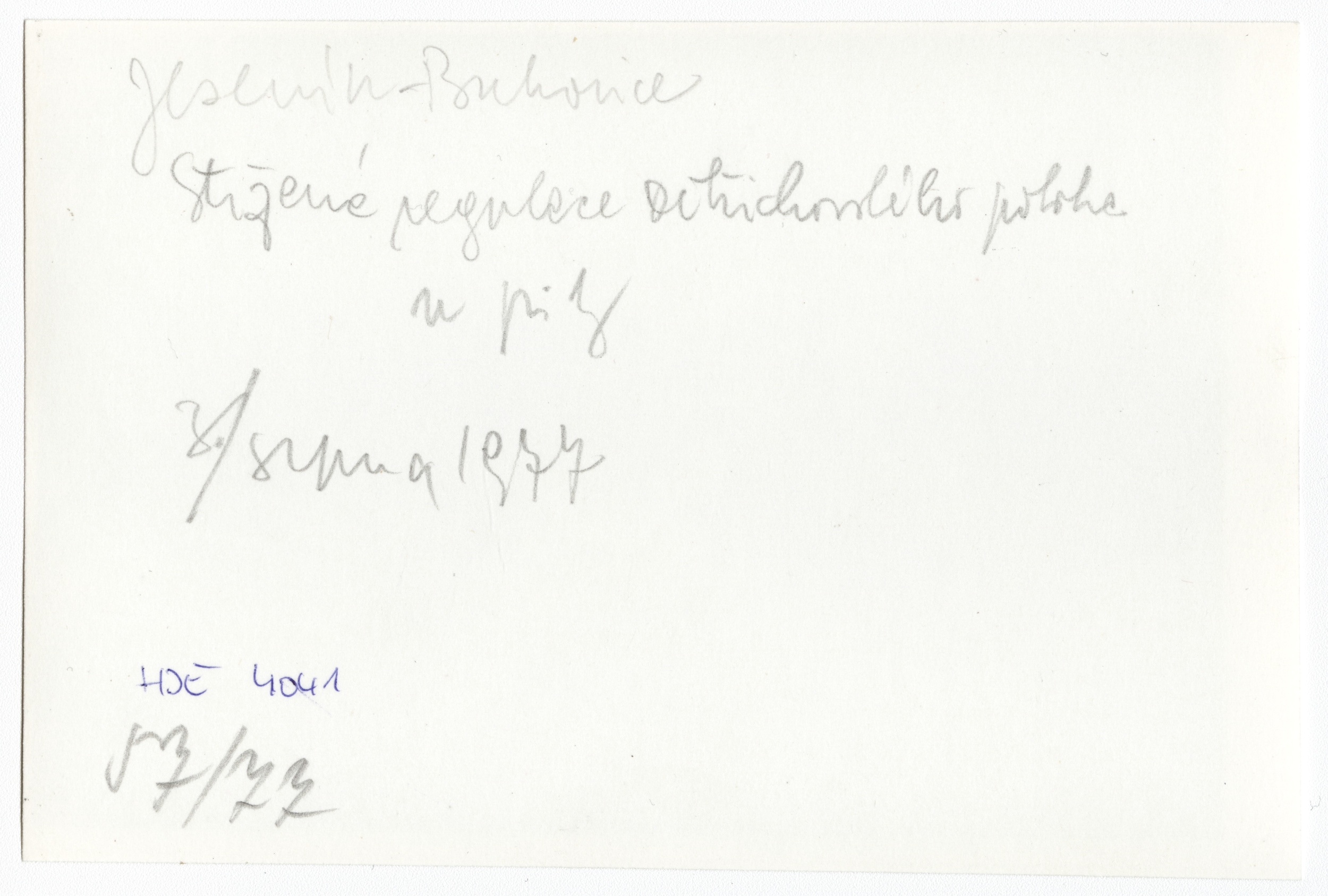Náhledový obrázek Povodeň r. 1977: Bukovice (čb. fotografie) - 2