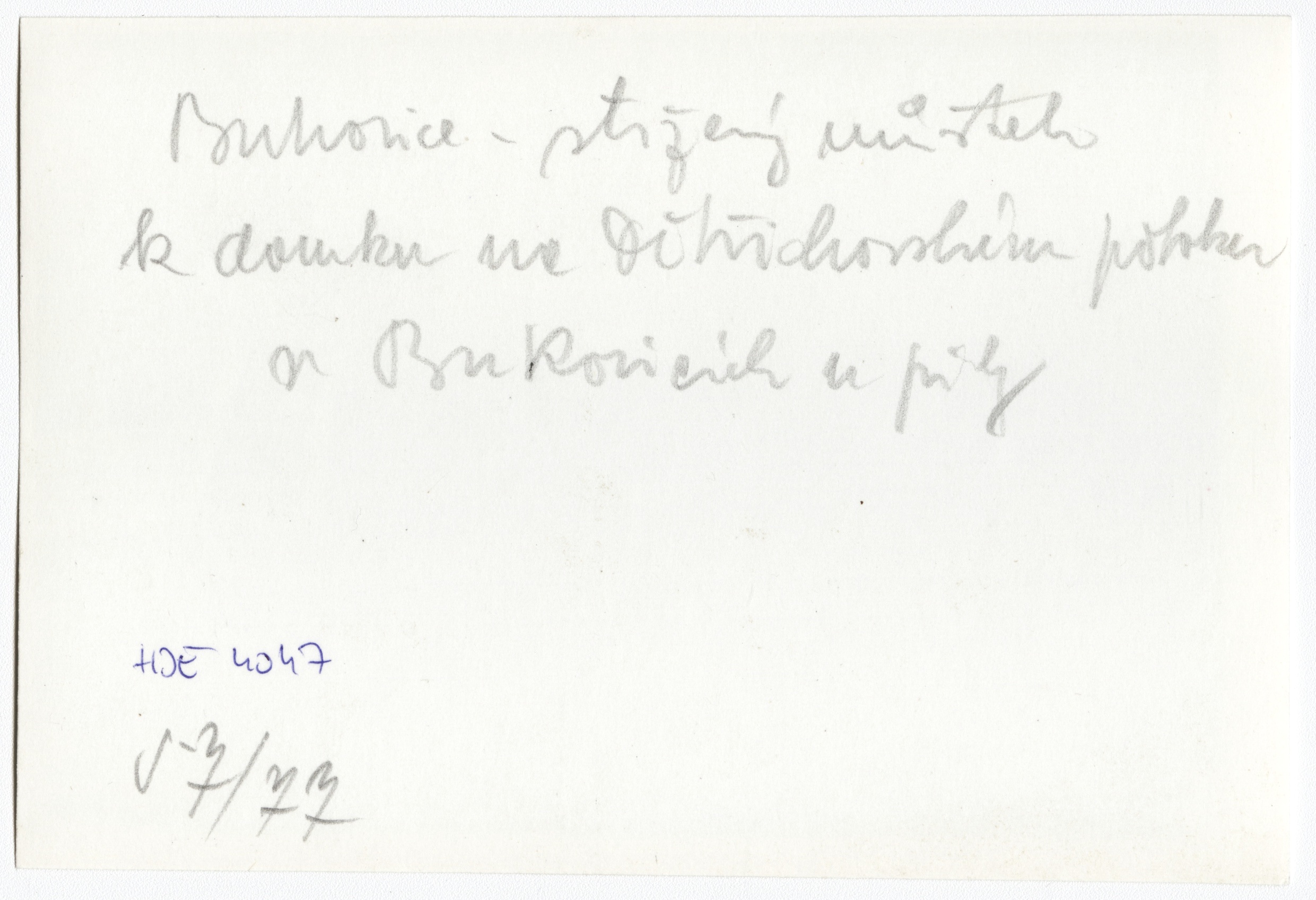 Náhledový obrázek Povodeň r. 1977: Bukovice (čb. fotografie) - 2
