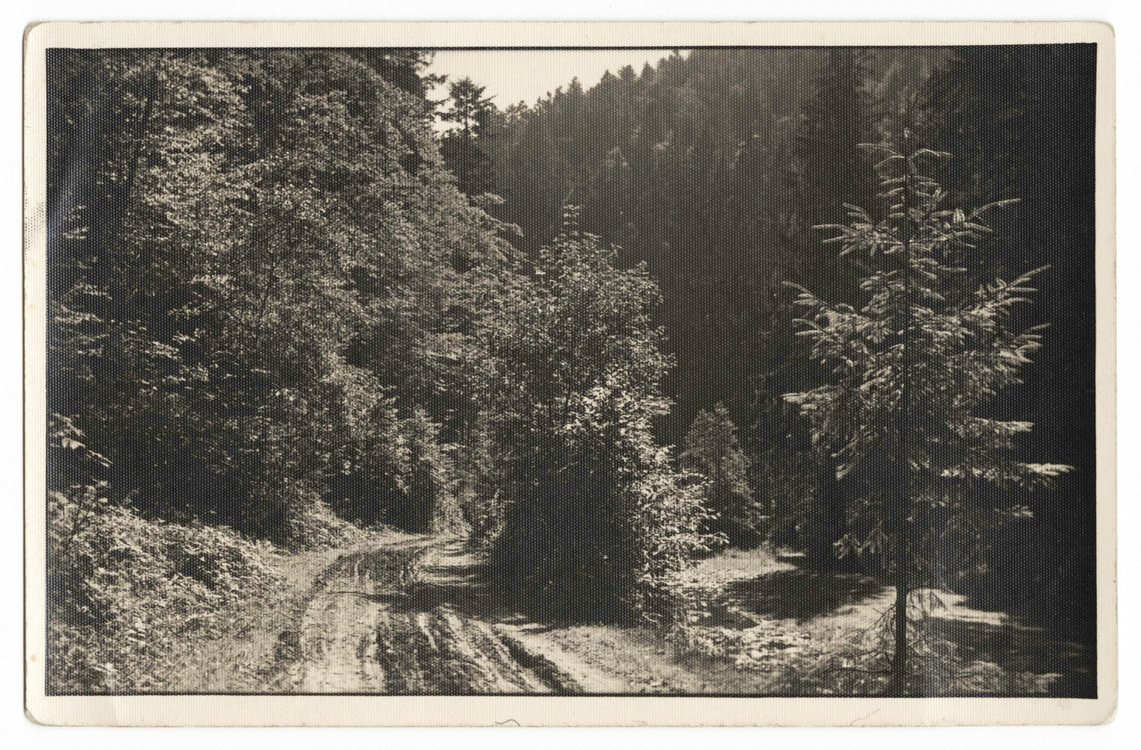 Náhledový obrázek Údolí Bystřice (čb. pohlednice) - 1
