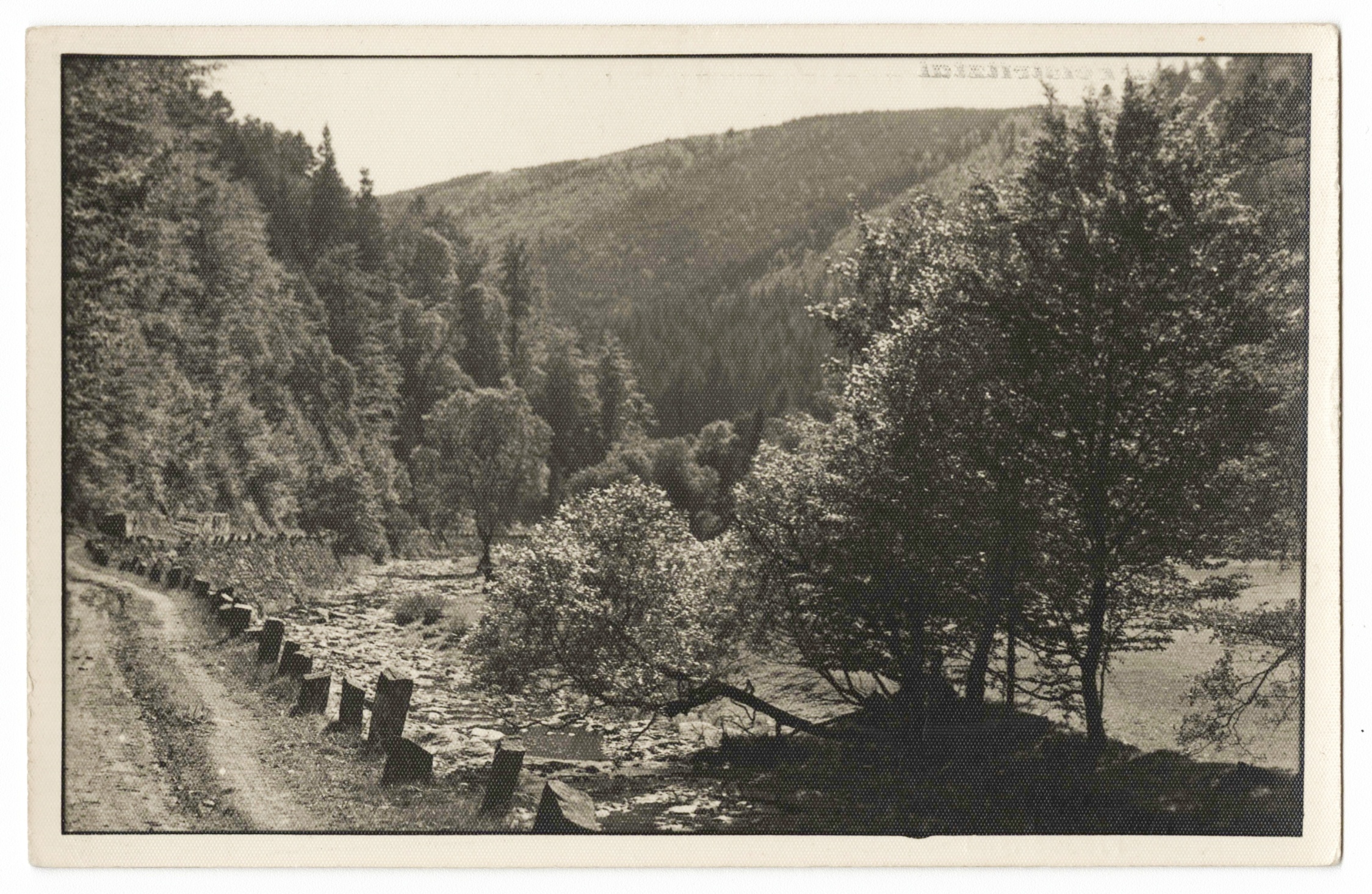 Náhledový obrázek Údolí Bystřice (čb. pohlednice) - 1