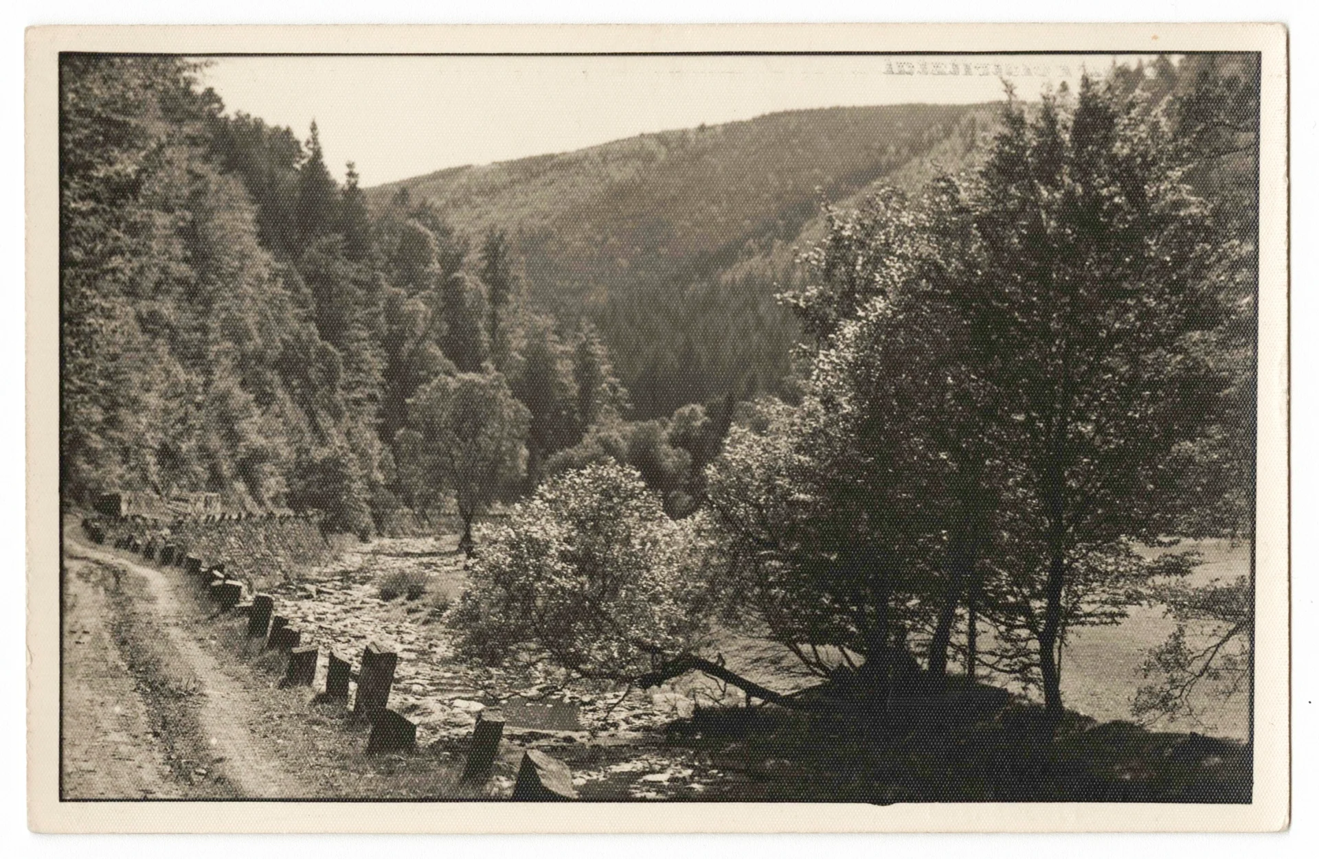 Náhledový obrázek předmětu Údolí Bystřice (čb. pohlednice)