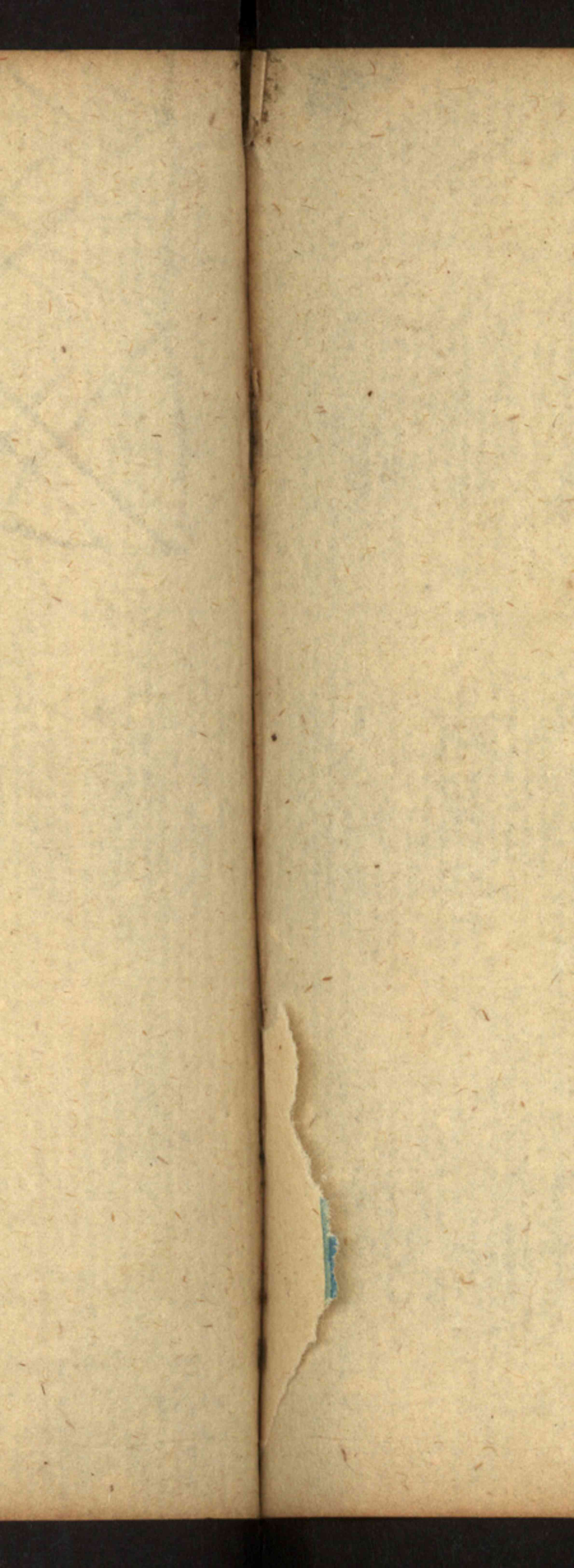 Náhledový obrázek Rkp. 9 – Památník Augustina de Bois, lékaře v Chebu a Fr. Lázních - 11