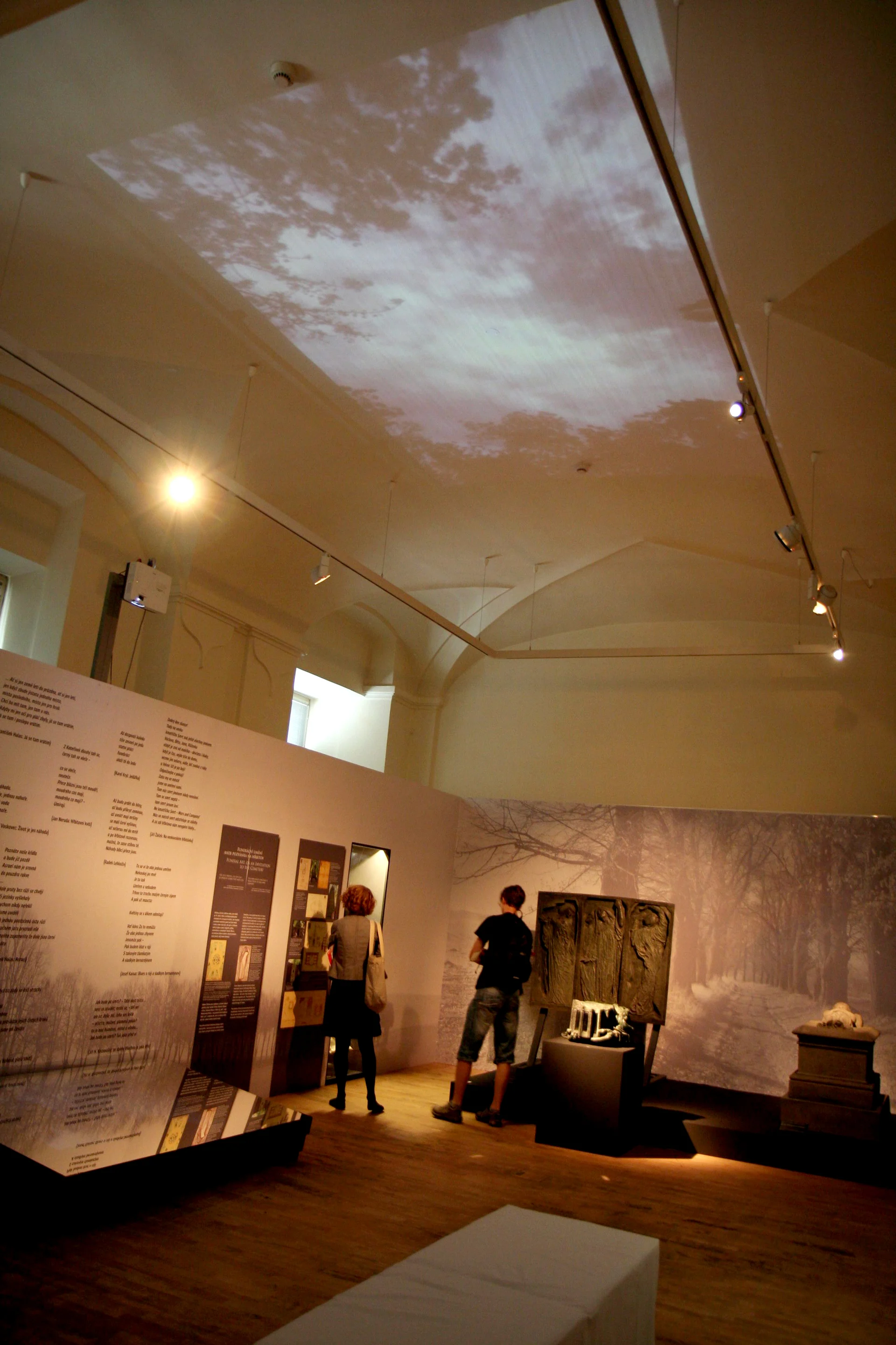 Náhledový obrázek předmětu Expozice "Smrt kmotřička"