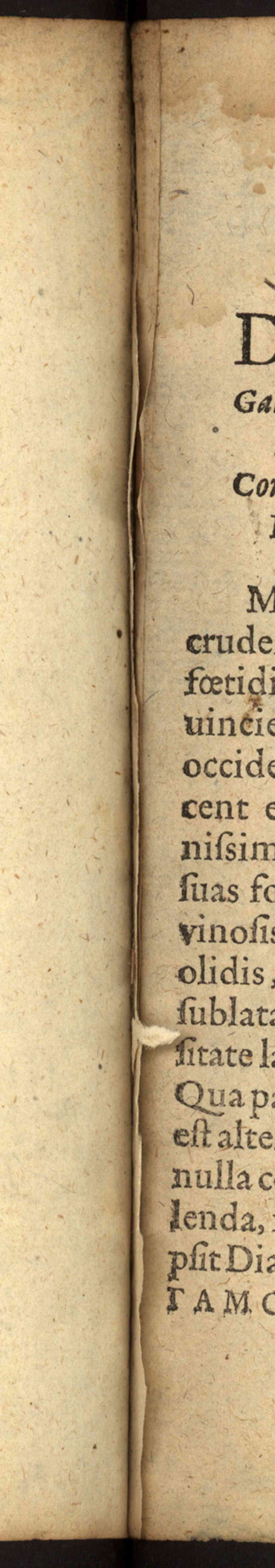 Náhledový obrázek Rkp. 15 – Památník Lamberta Richemia z Limburka - 23