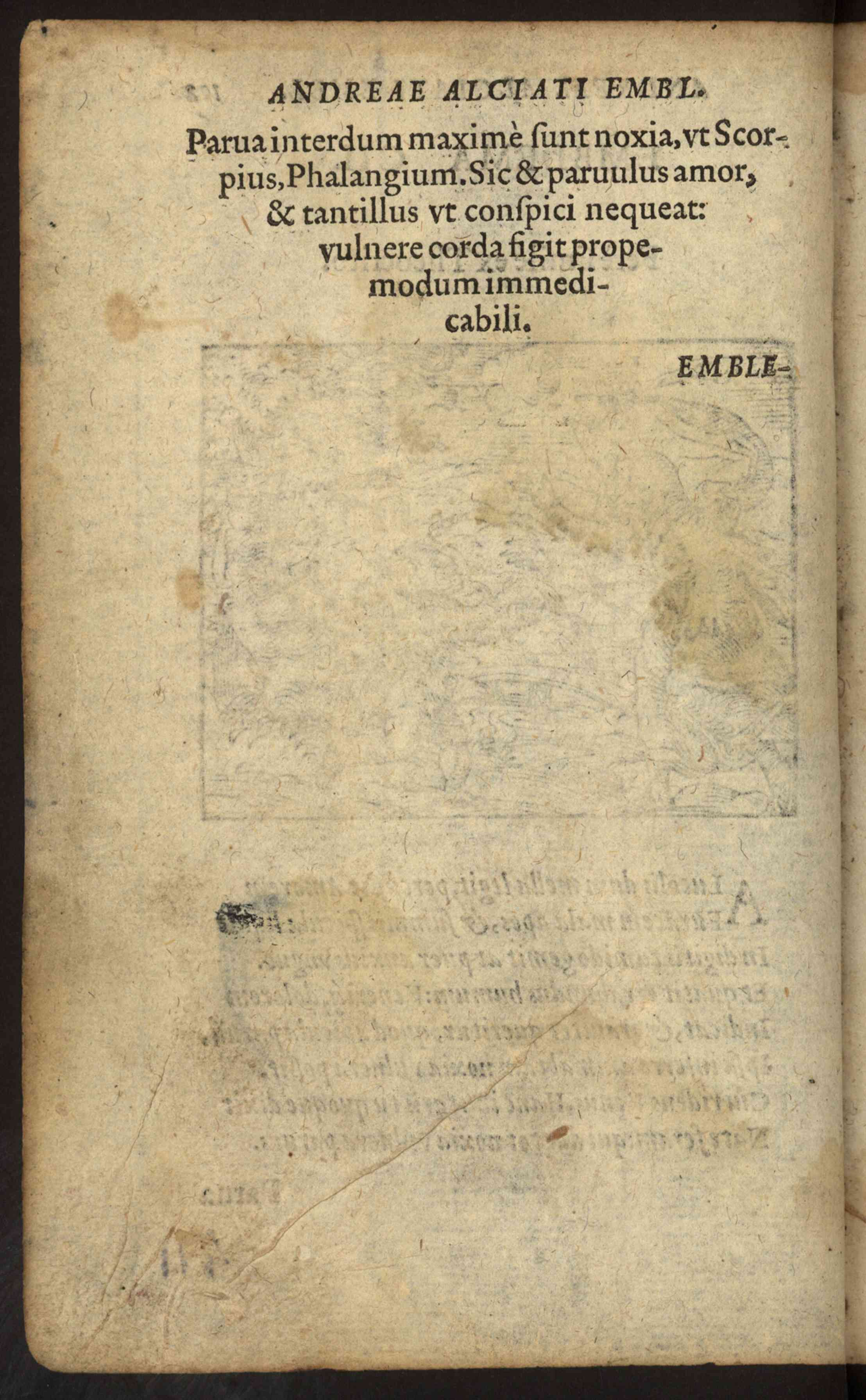 Náhledový obrázek Rkp. 15 – Památník Lamberta Richemia z Limburka - 311