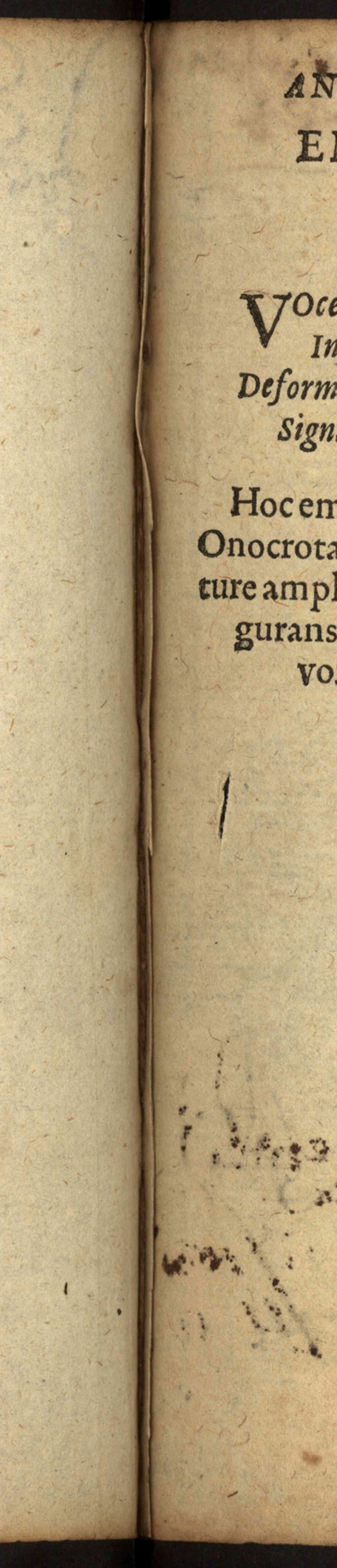 Náhledový obrázek Rkp. 15 – Památník Lamberta Richemia z Limburka - 192