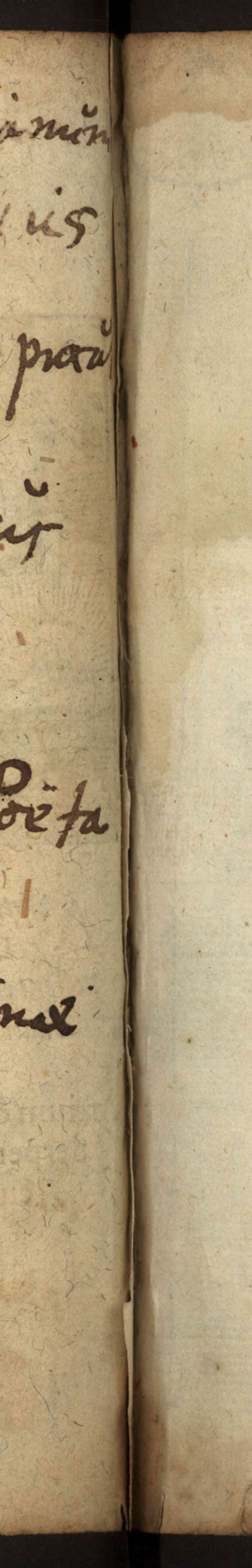 Náhledový obrázek Rkp. 15 – Památník Lamberta Richemia z Limburka - 107