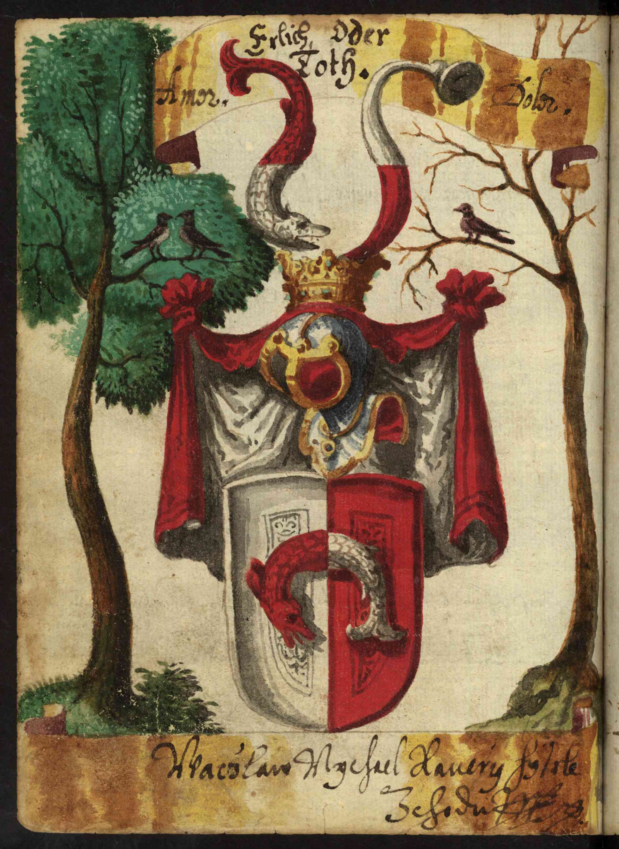 Náhledový obrázek Rkp. 1166 – Památník Viléma Kunáše z Machovic - 76