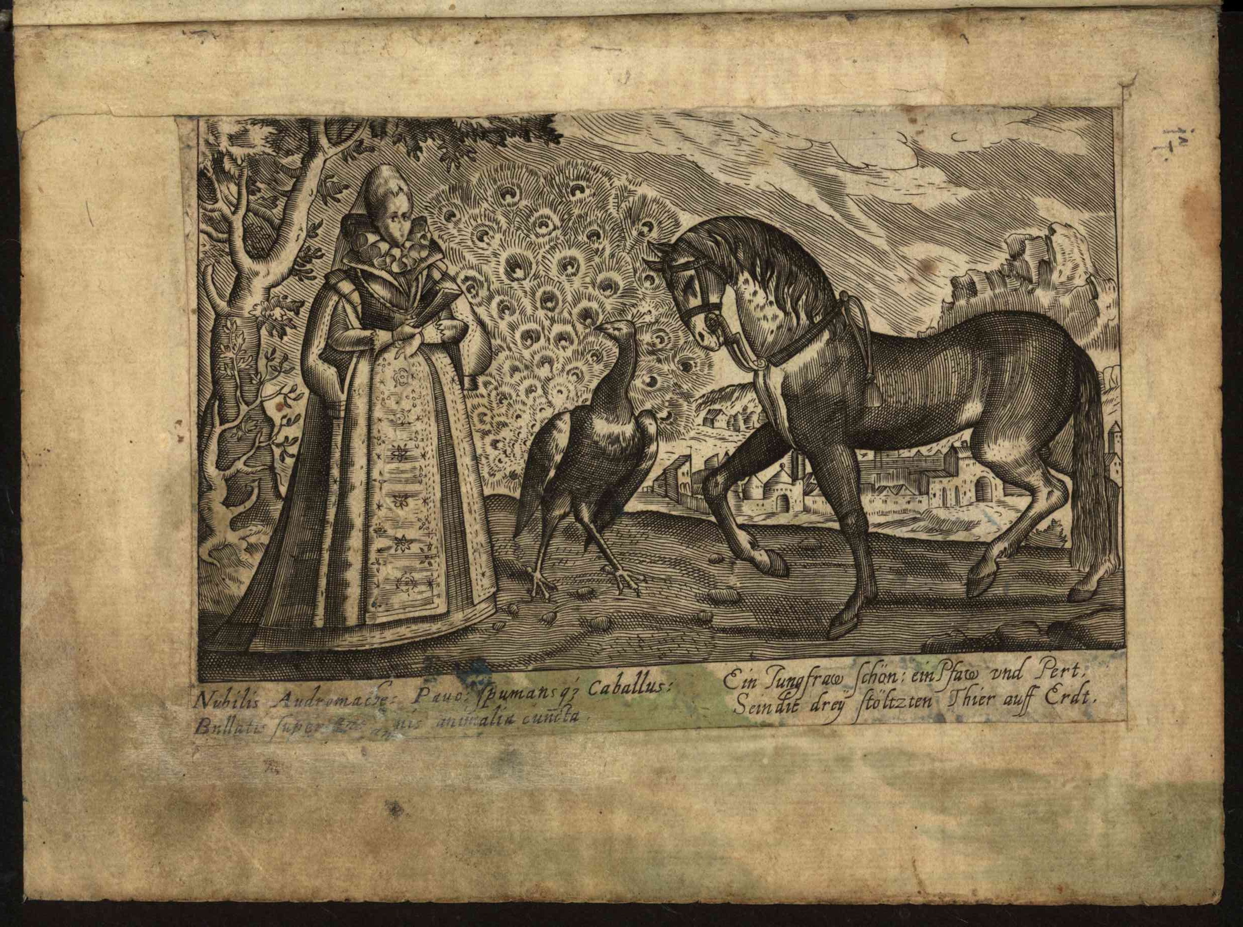 Náhledový obrázek Rkp. 1166 – Památník Viléma Kunáše z Machovic - 23