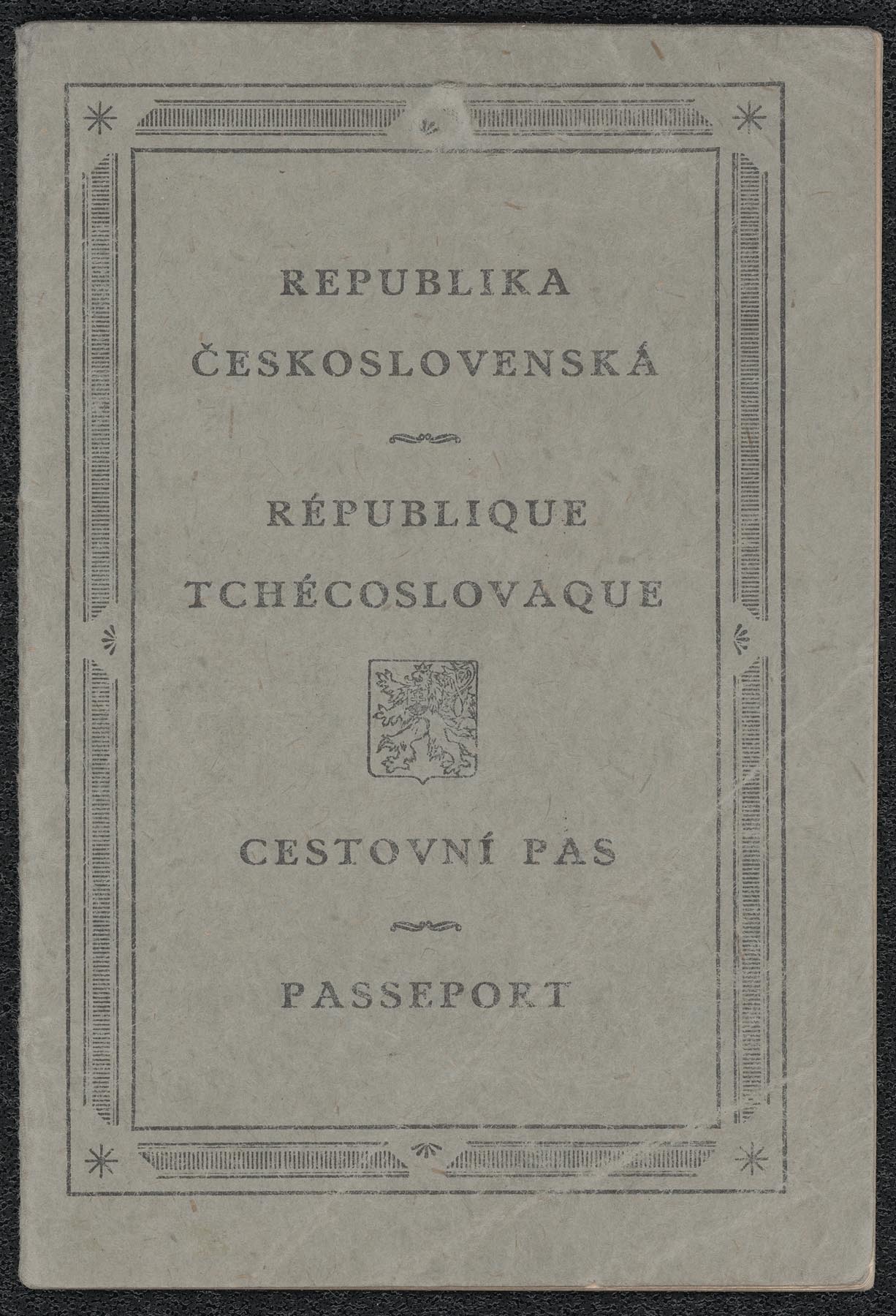 Náhledový obrázek Cestovní pas - 1