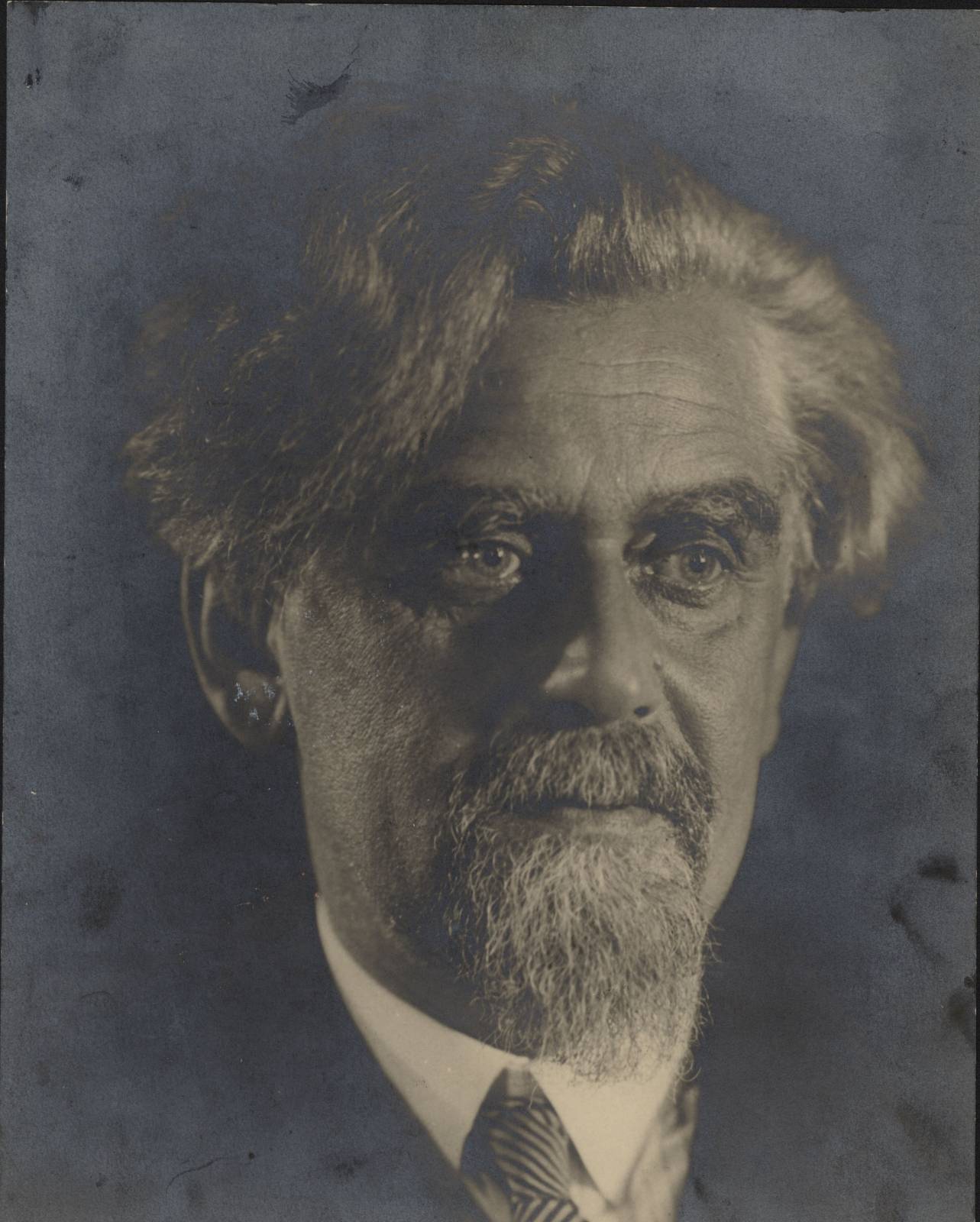 Náhledový obrázek předmětu Sergej Porfirjevič Postnikov 