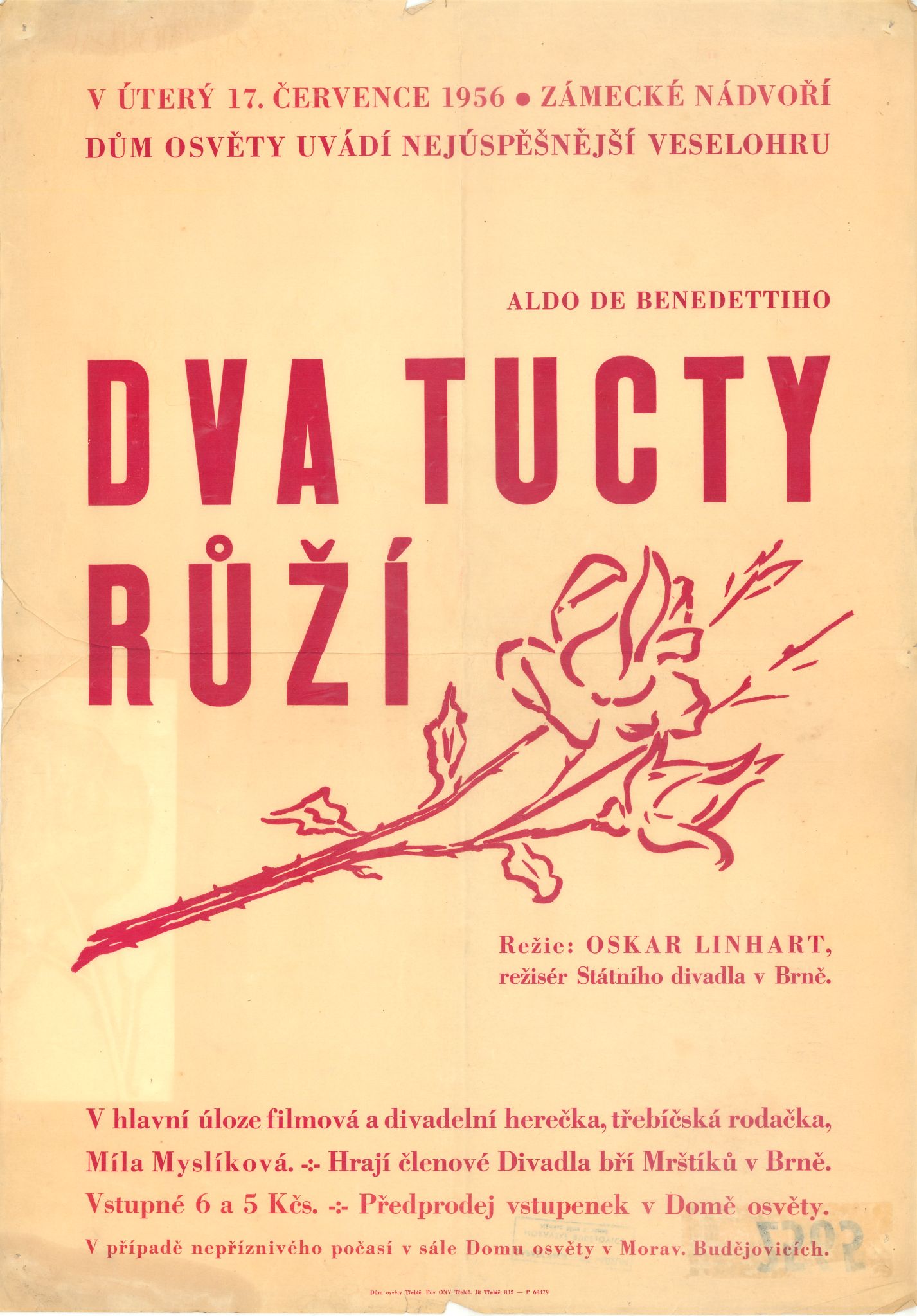 Náhledový obrázek Dva tucty růží - 1