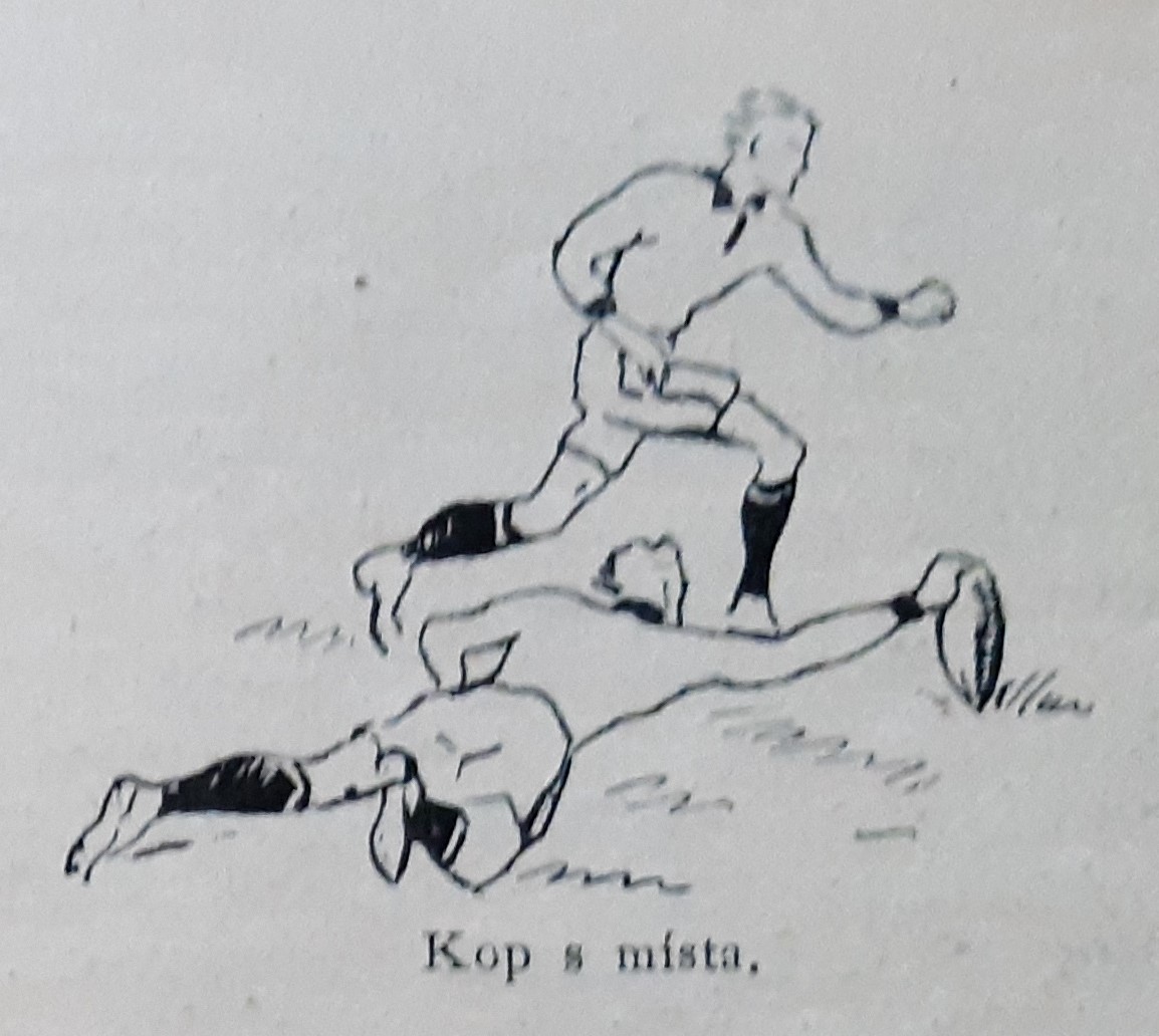 Náhledový obrázek Rugby. Jak se hraje a jeho pravidla, sest. Ondřej Sekora - 12