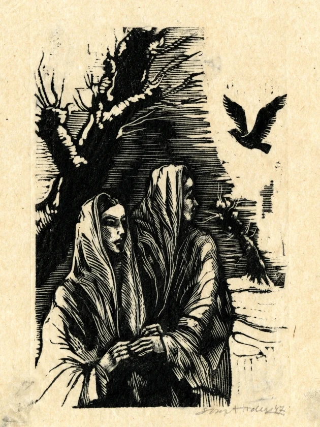 Náhledový obrázek předmětu Ilustrace - Štědrý den