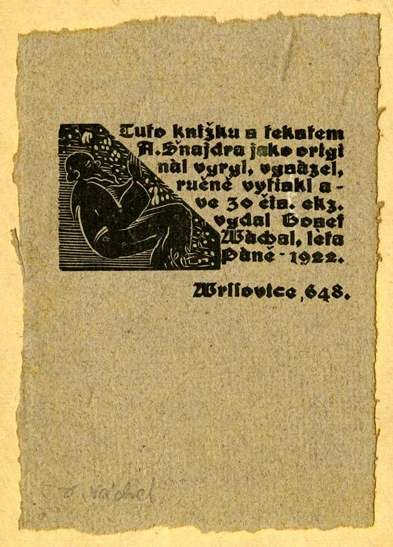 Náhledový obrázek předmětu Užitá grafika jiná
