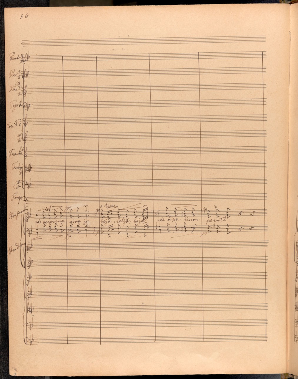 Náhledový obrázek Radúz a Mahulena, op. 13 - 42