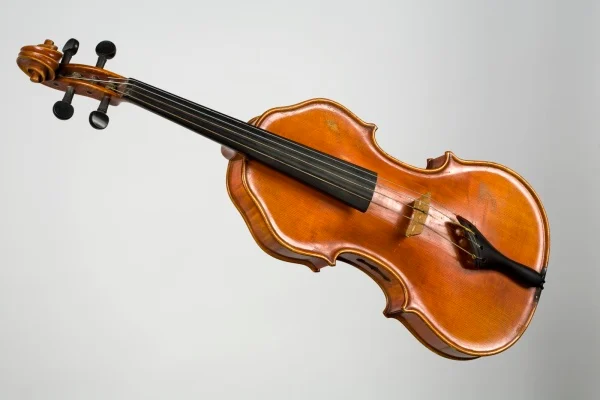 Náhledový obrázek předmětu Viola