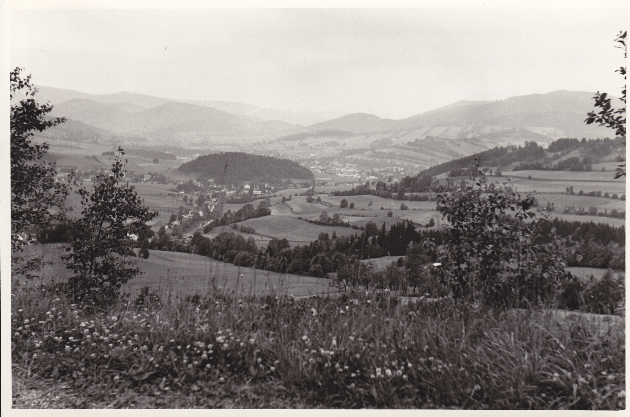 Náhledový obrázek Fotografie - Prof. Ferdinand Pax na návštěvě Slezského ústavu - 1